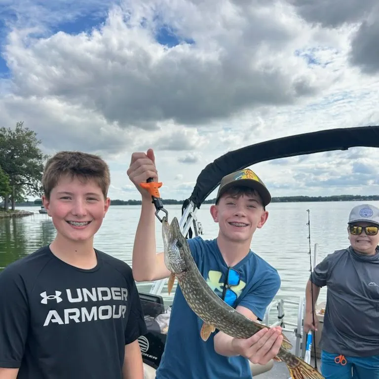 Northern pike caught on Fishbrain