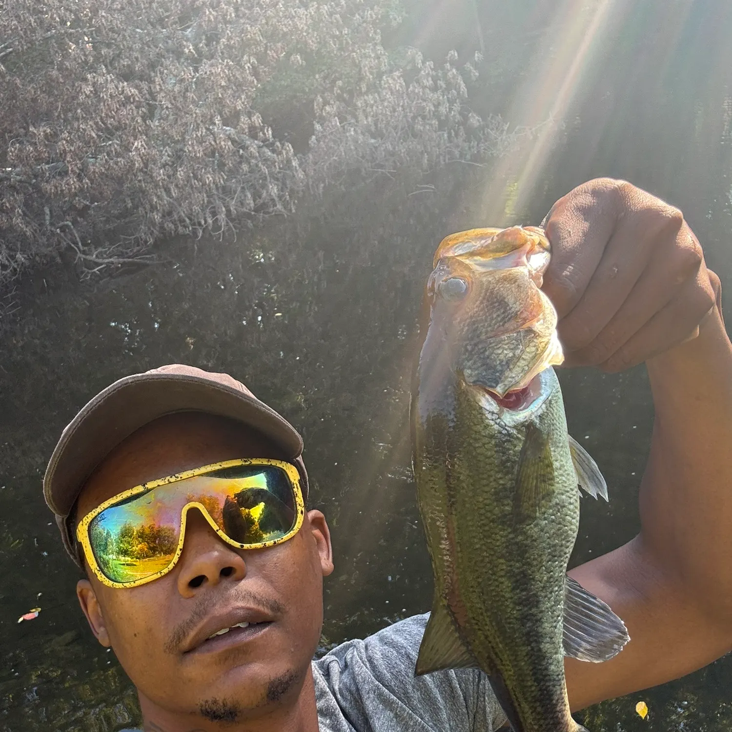 Largemouth bass caught on Fishbrain