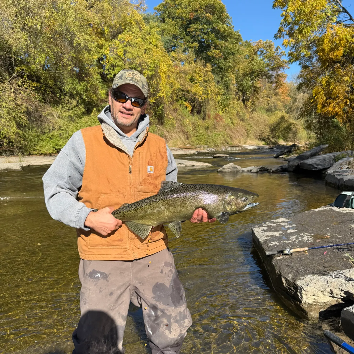 Chinook salmon caught on Fishbrain