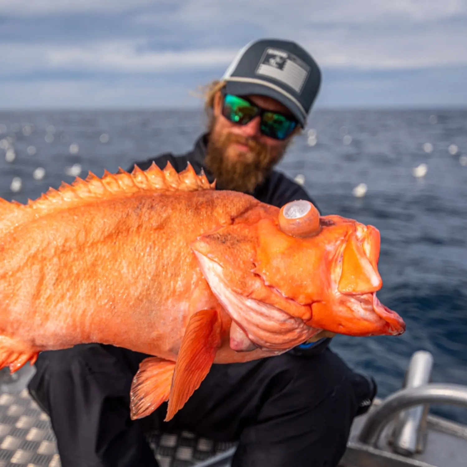 The most popular recent Atlantic ocean perch catch on Fishbrain