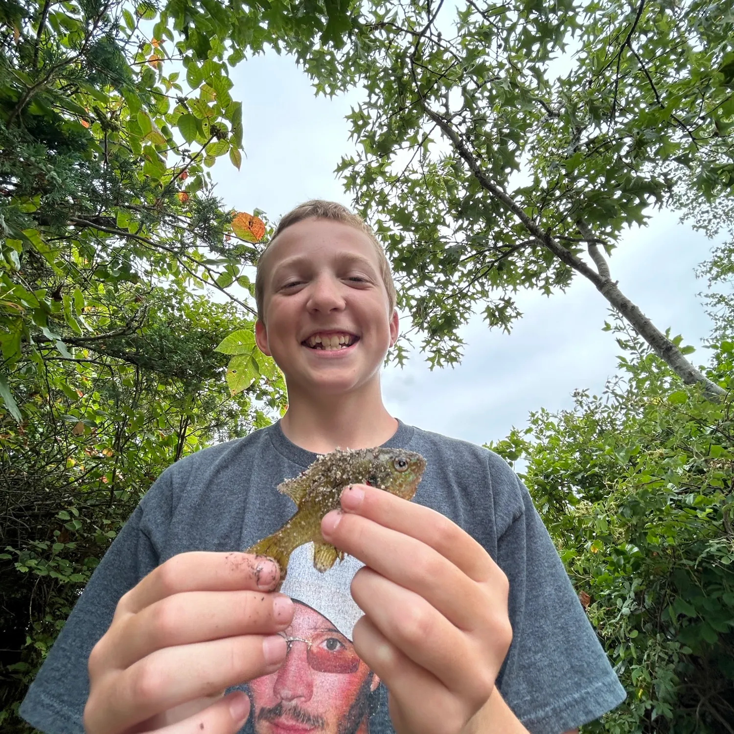 Spotted sunfish caught on Fishbrain