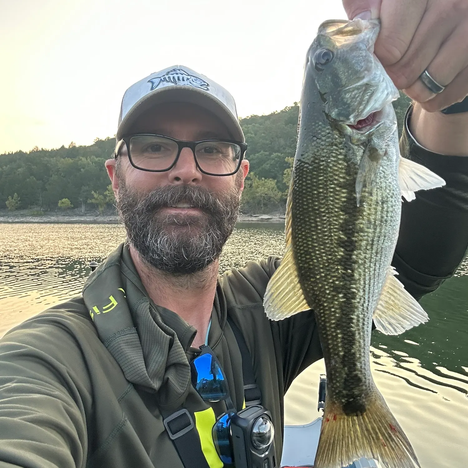 Spotted bass caught on Fishbrain