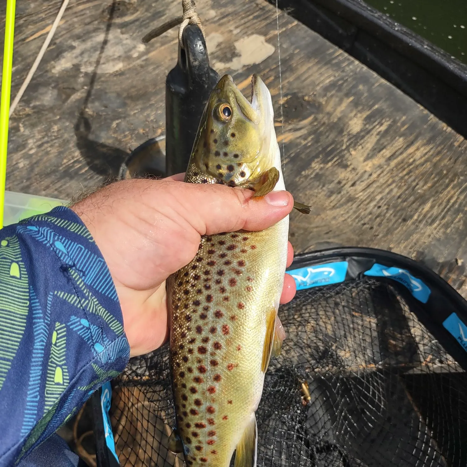 recently logged catches