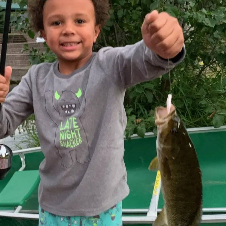 The most recent Meanmouth bass catches on Fishbrain