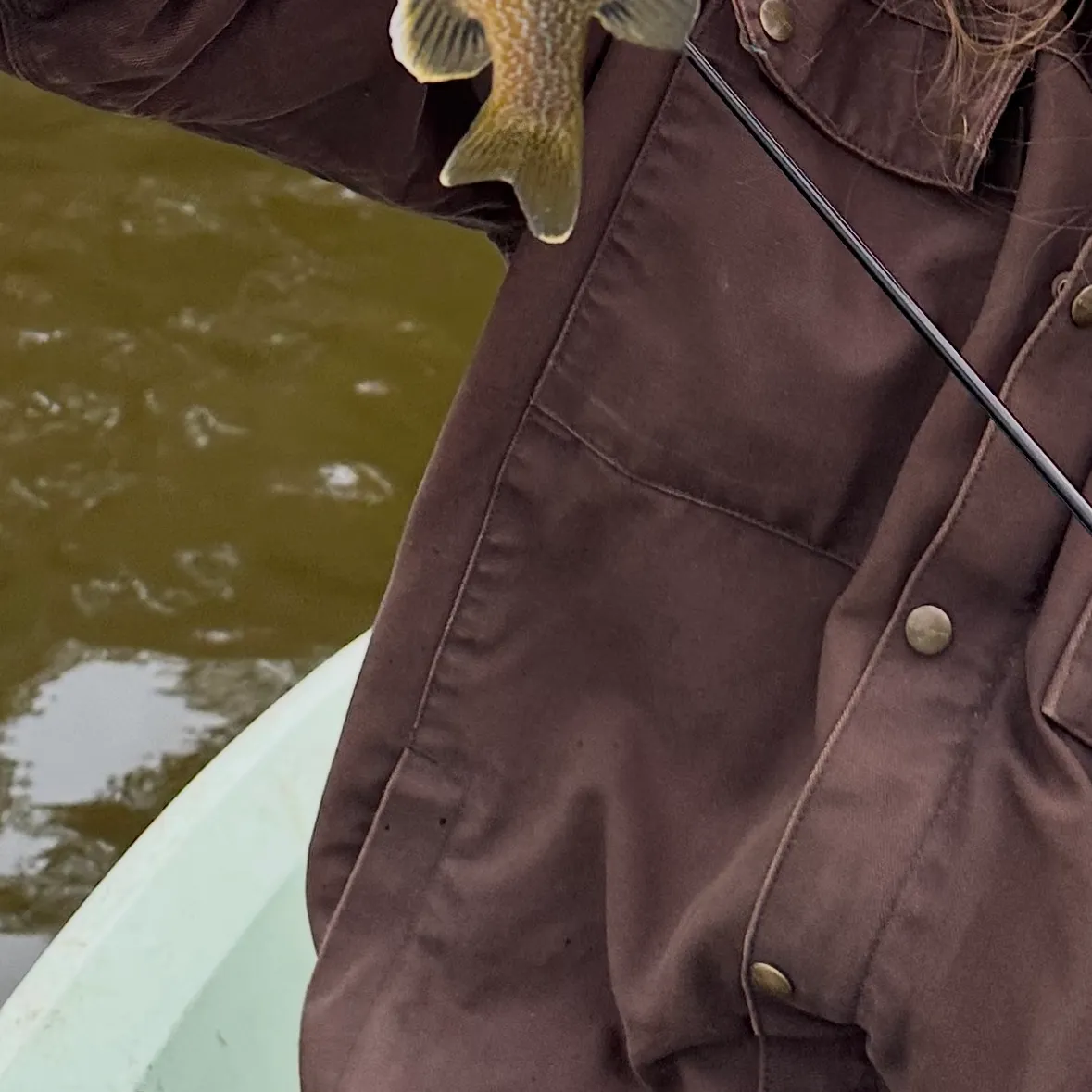 Greengill hybrid caught on Fishbrain
