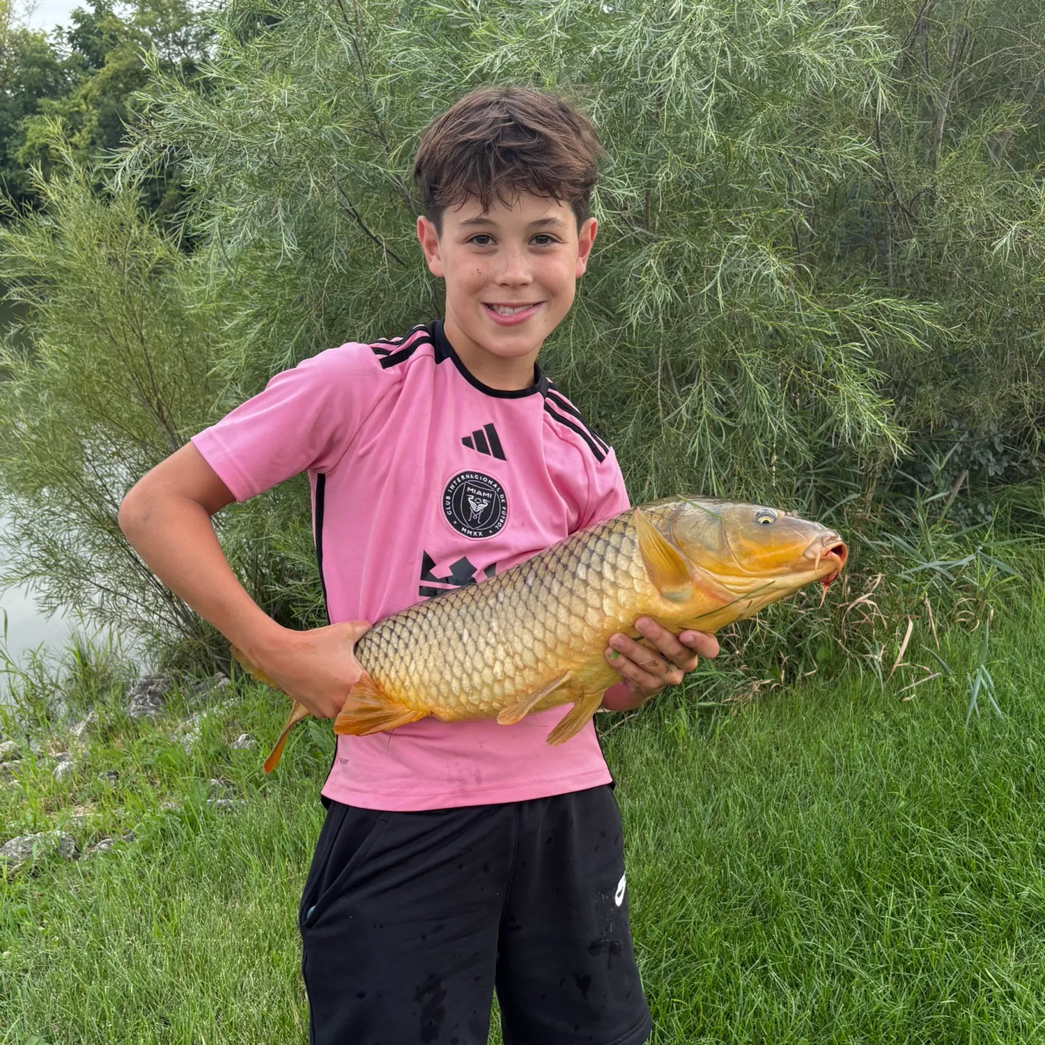 The most recent Crucian carp catches on Fishbrain