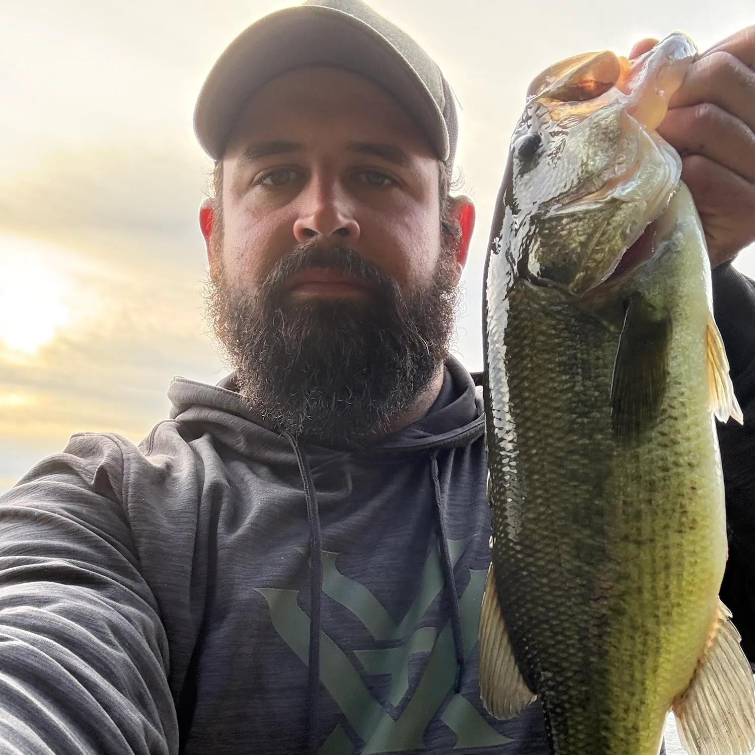 Largemouth bass caught on Fishbrain