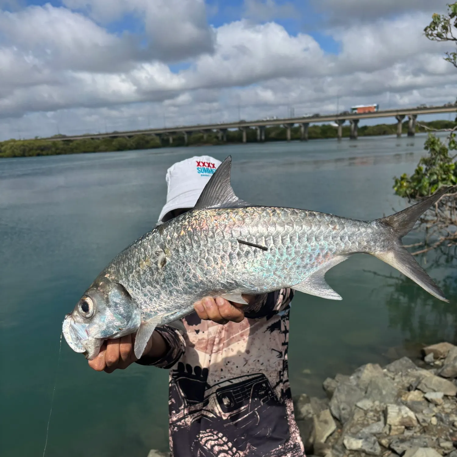 The most recent Indo-Pacific tarpon catches on Fishbrain