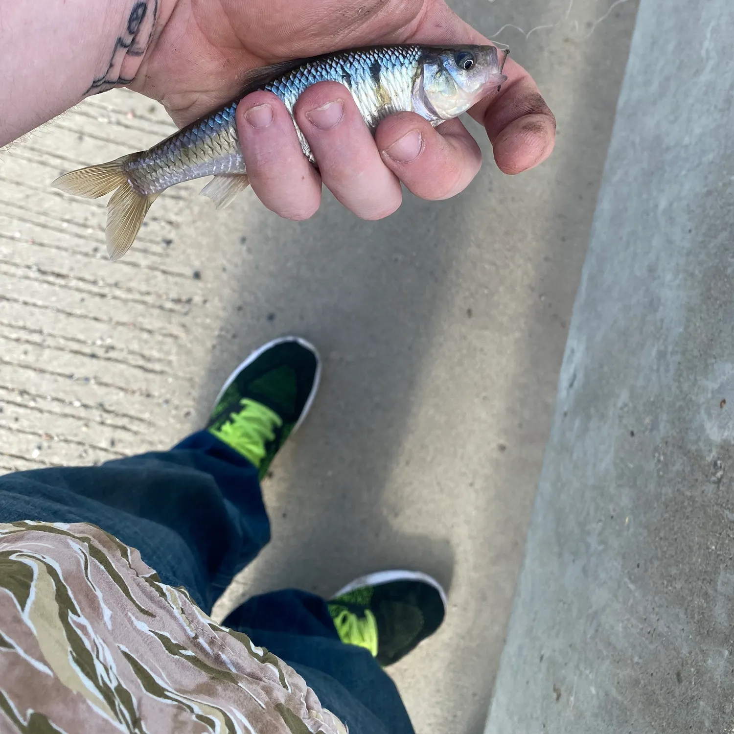catch