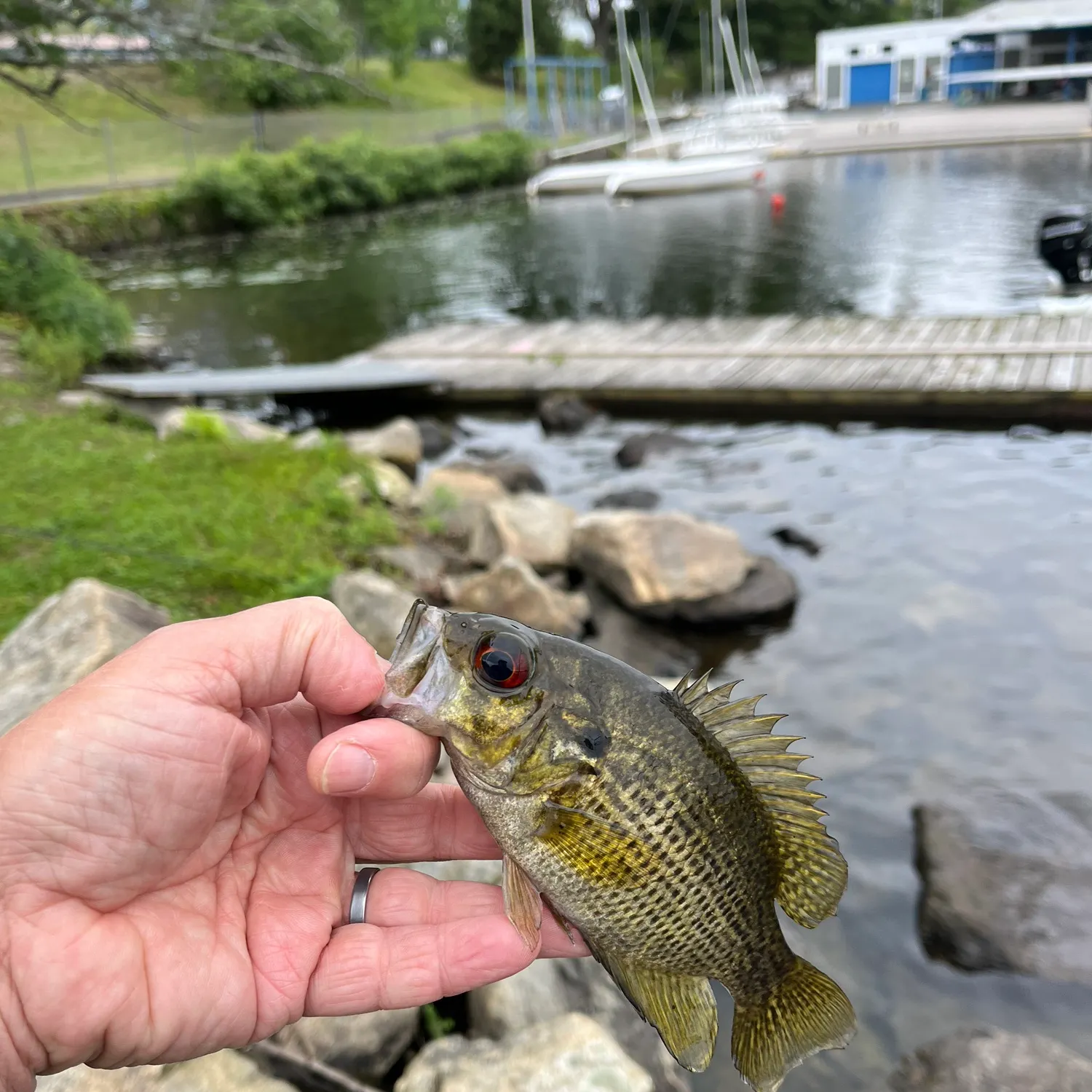 catch