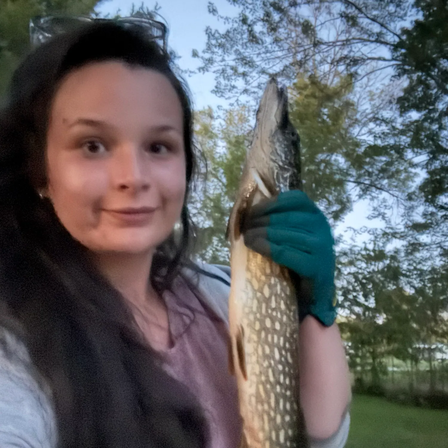 Northern pike caught on Fishbrain