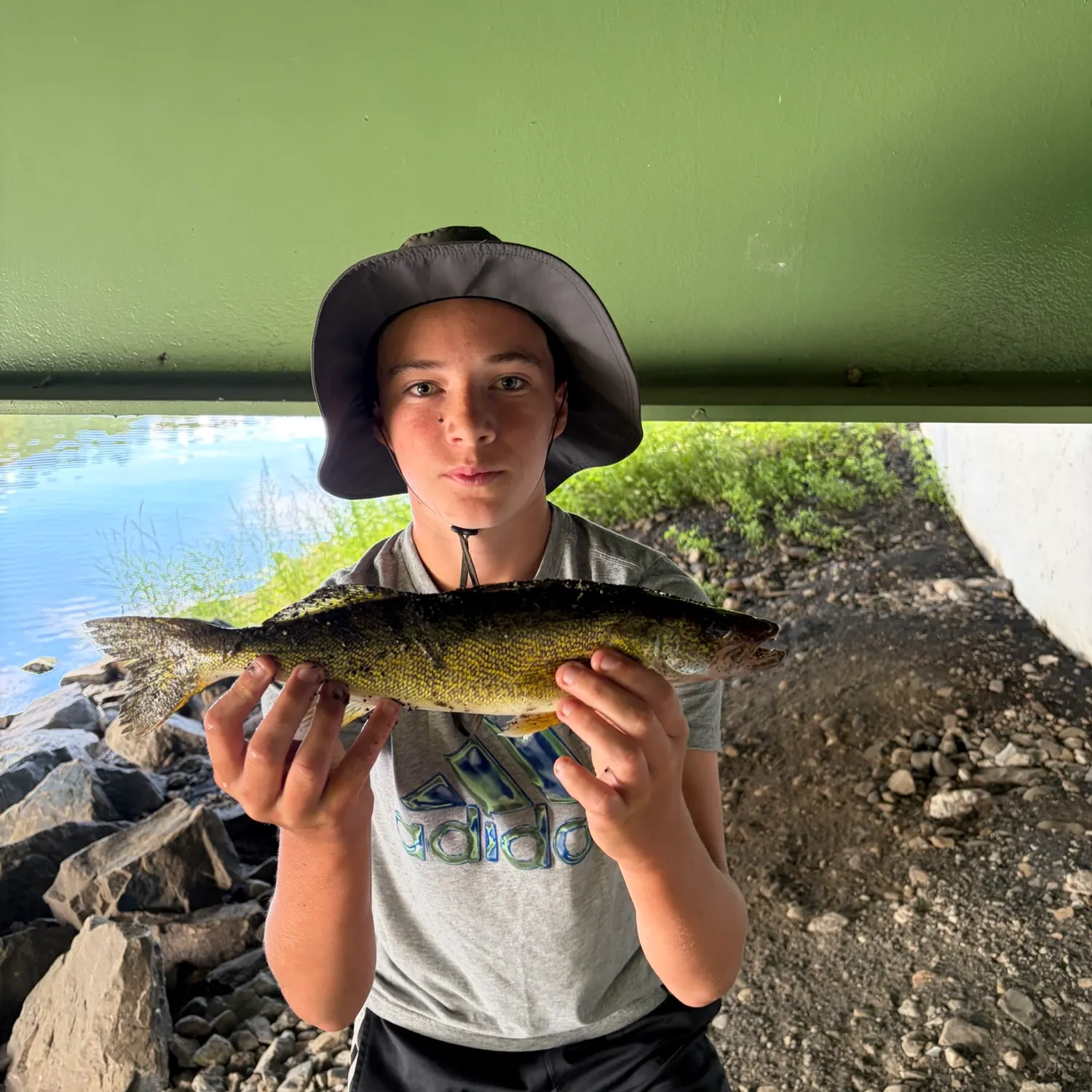 Walleye caught on Fishbrain
