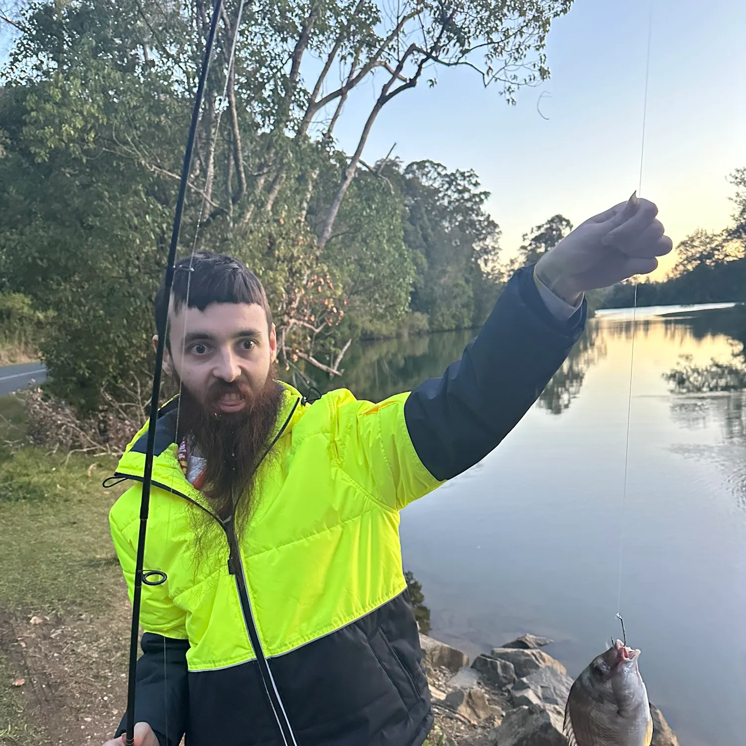 Surf bream caught on Fishbrain