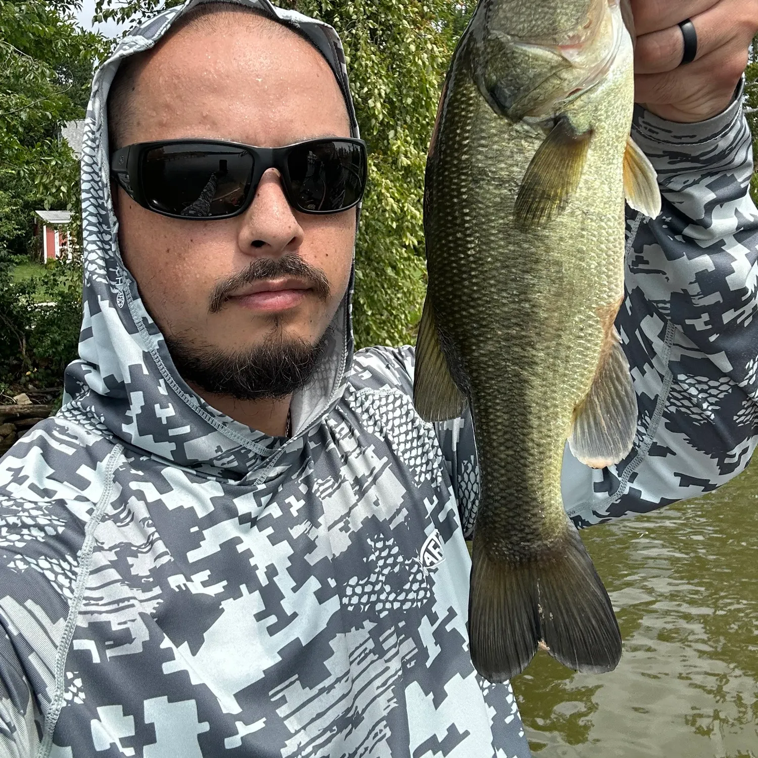 Largemouth bass caught on Fishbrain