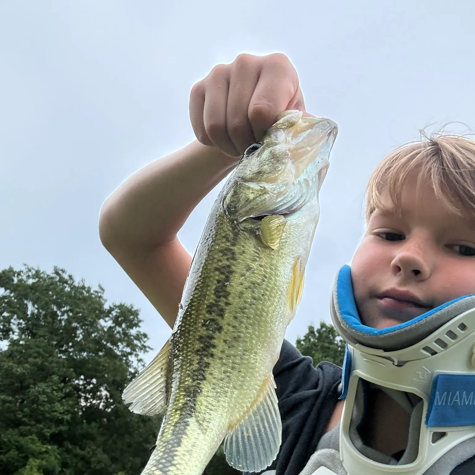 Fish caught on Fishbrain