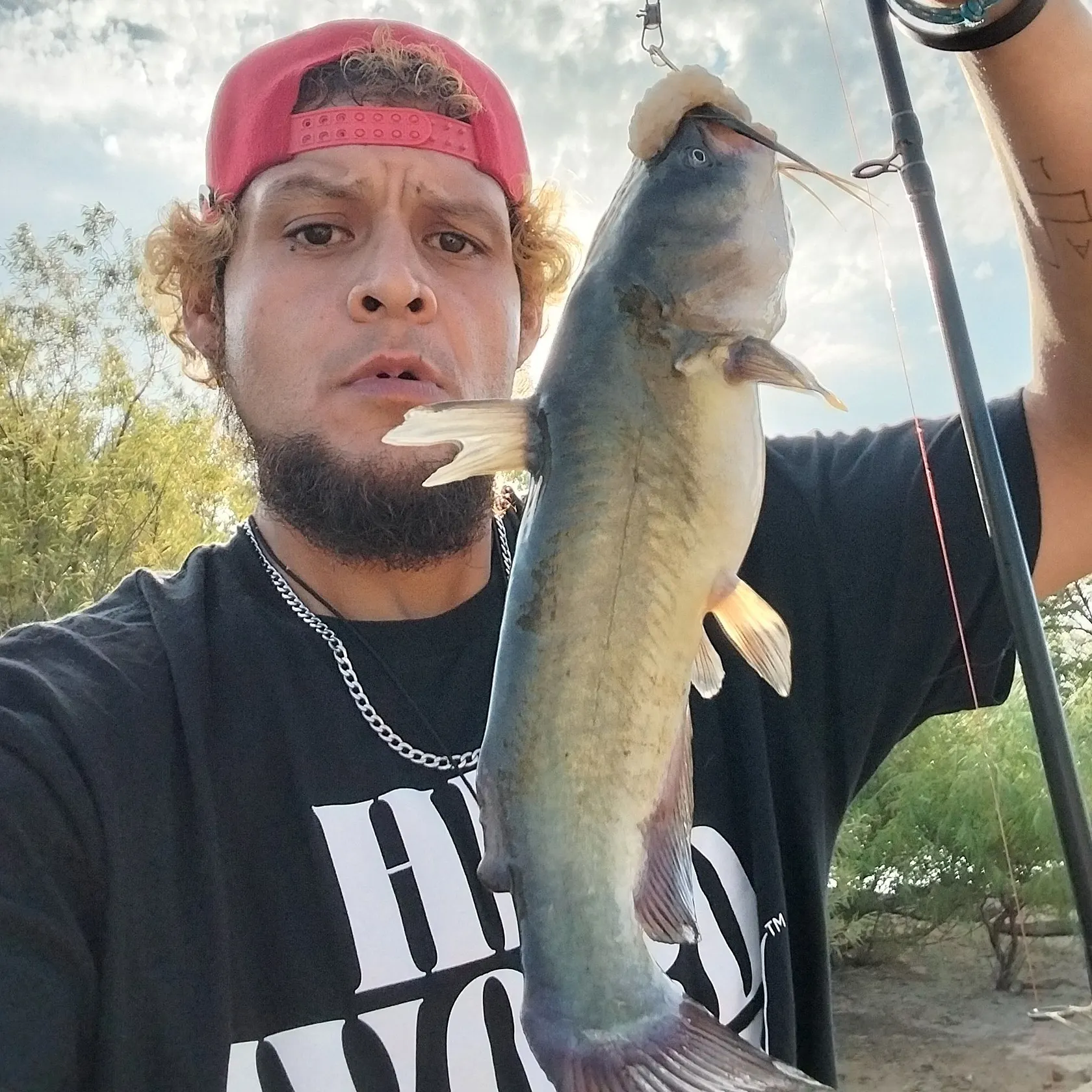 Channel catfish caught on Fishbrain