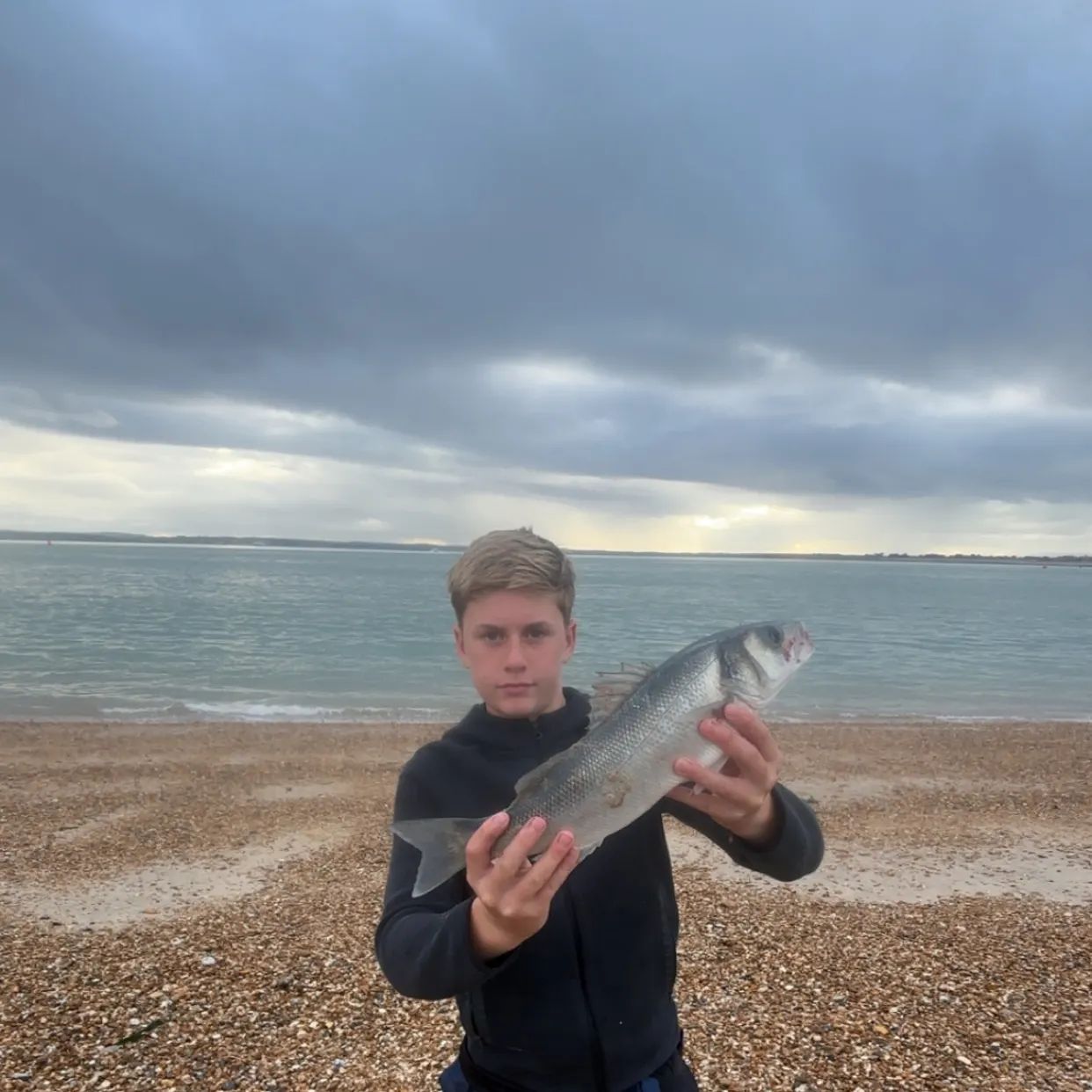 European seabass caught on Fishbrain