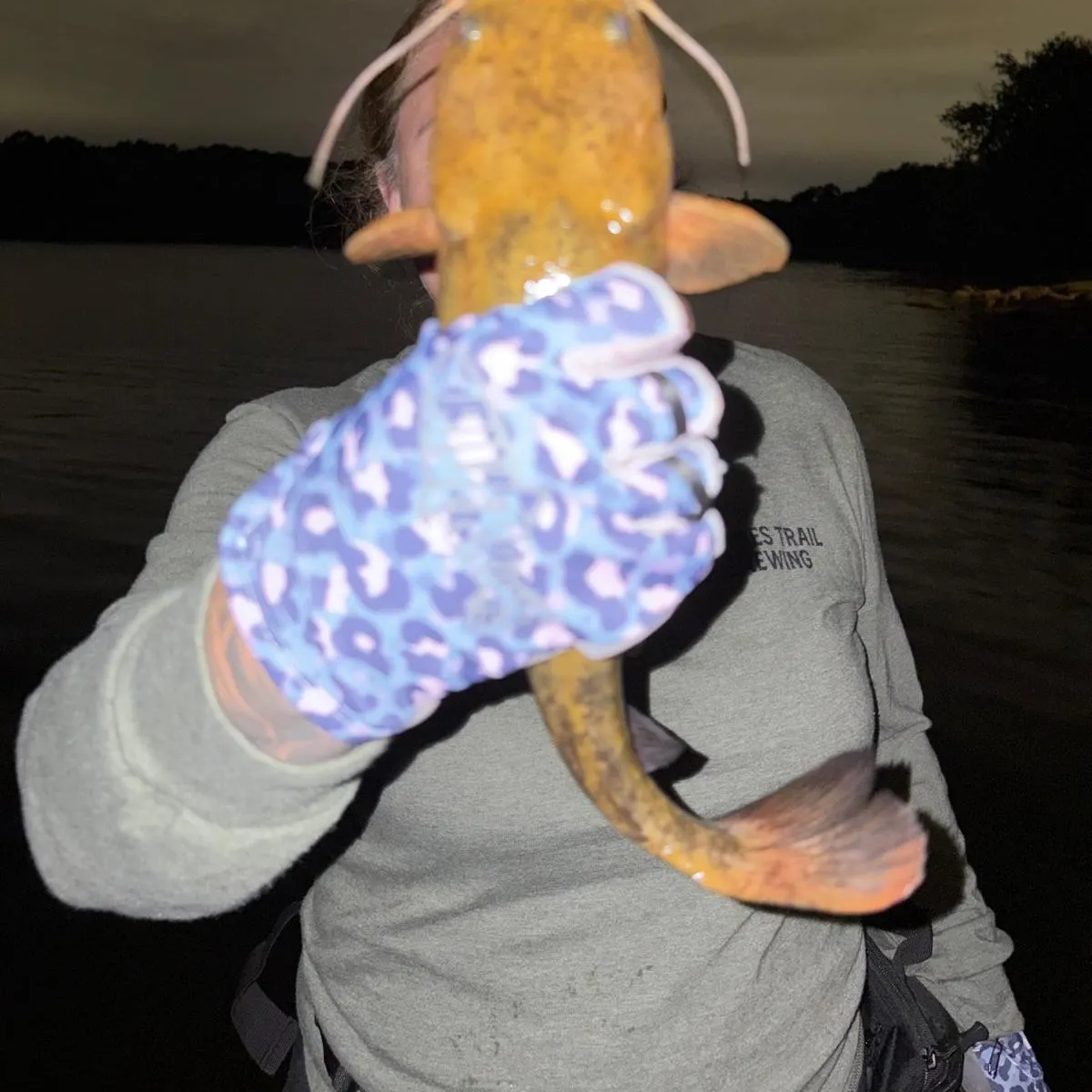 Flathead catfish caught on Fishbrain