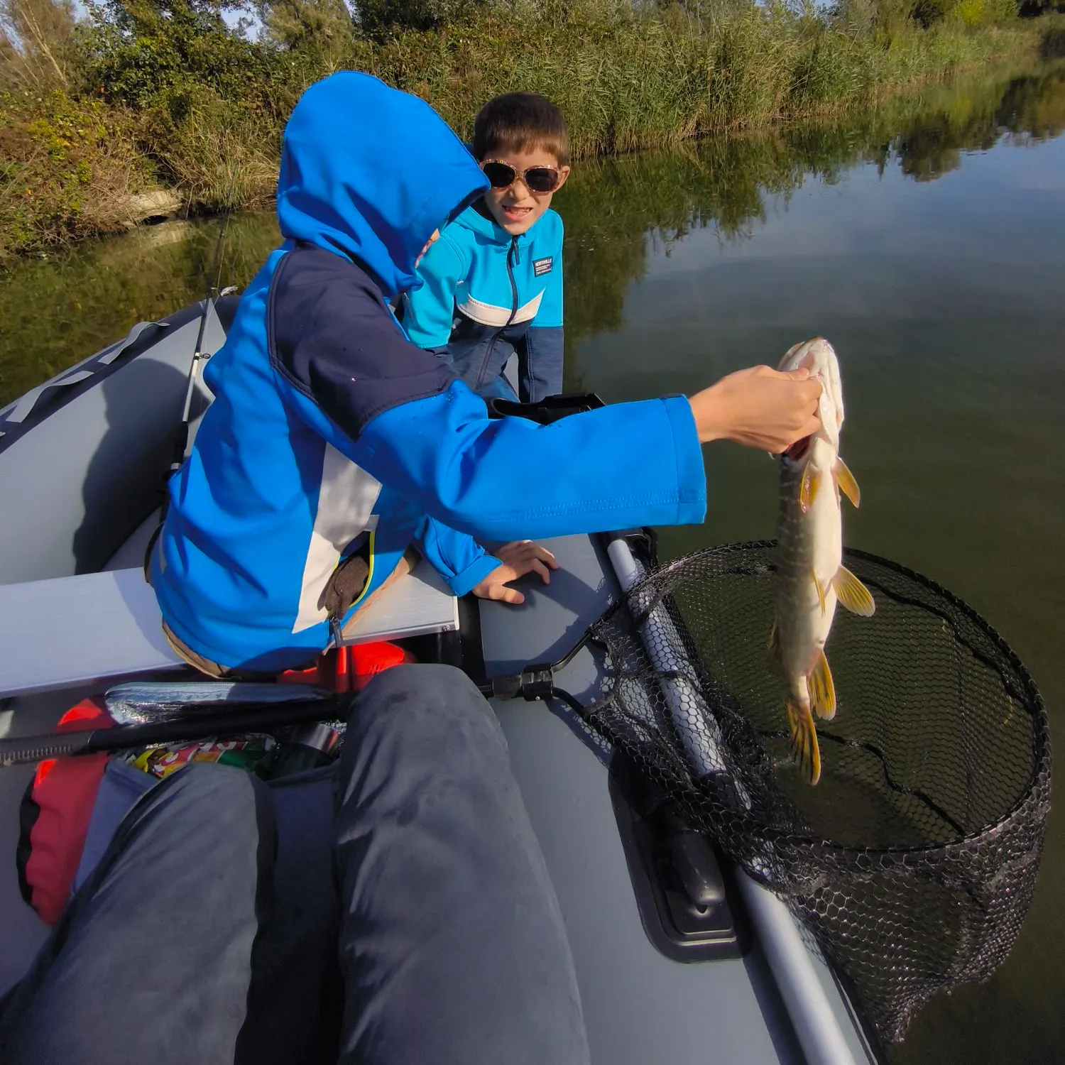 Northern pike caught on Fishbrain