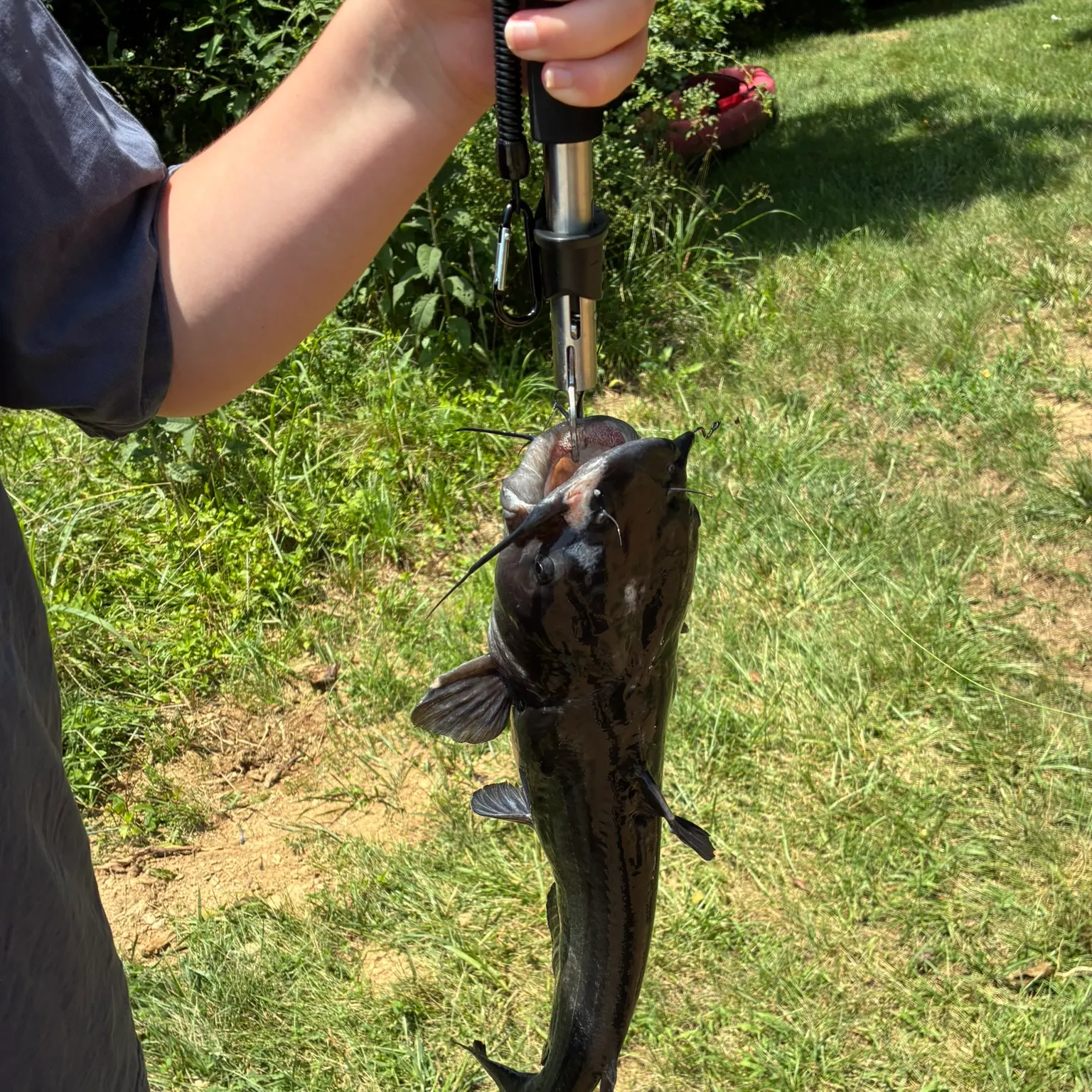 catch