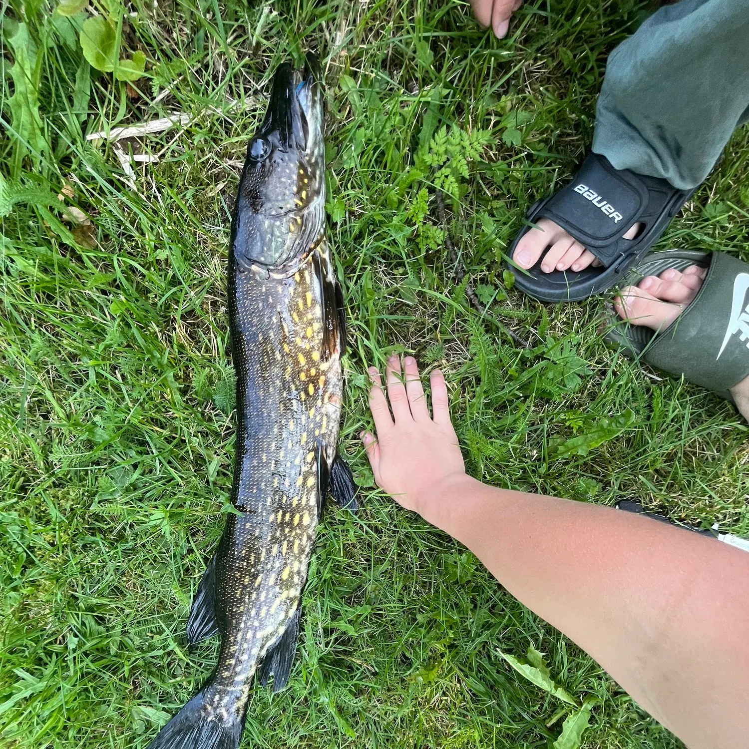 catch