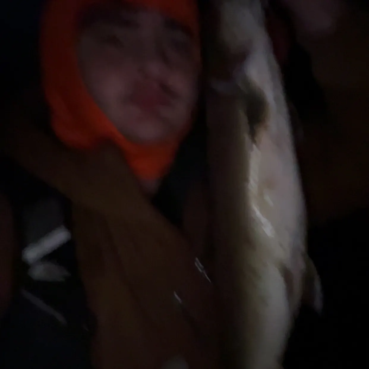 The most recent Dolly varden catches on Fishbrain