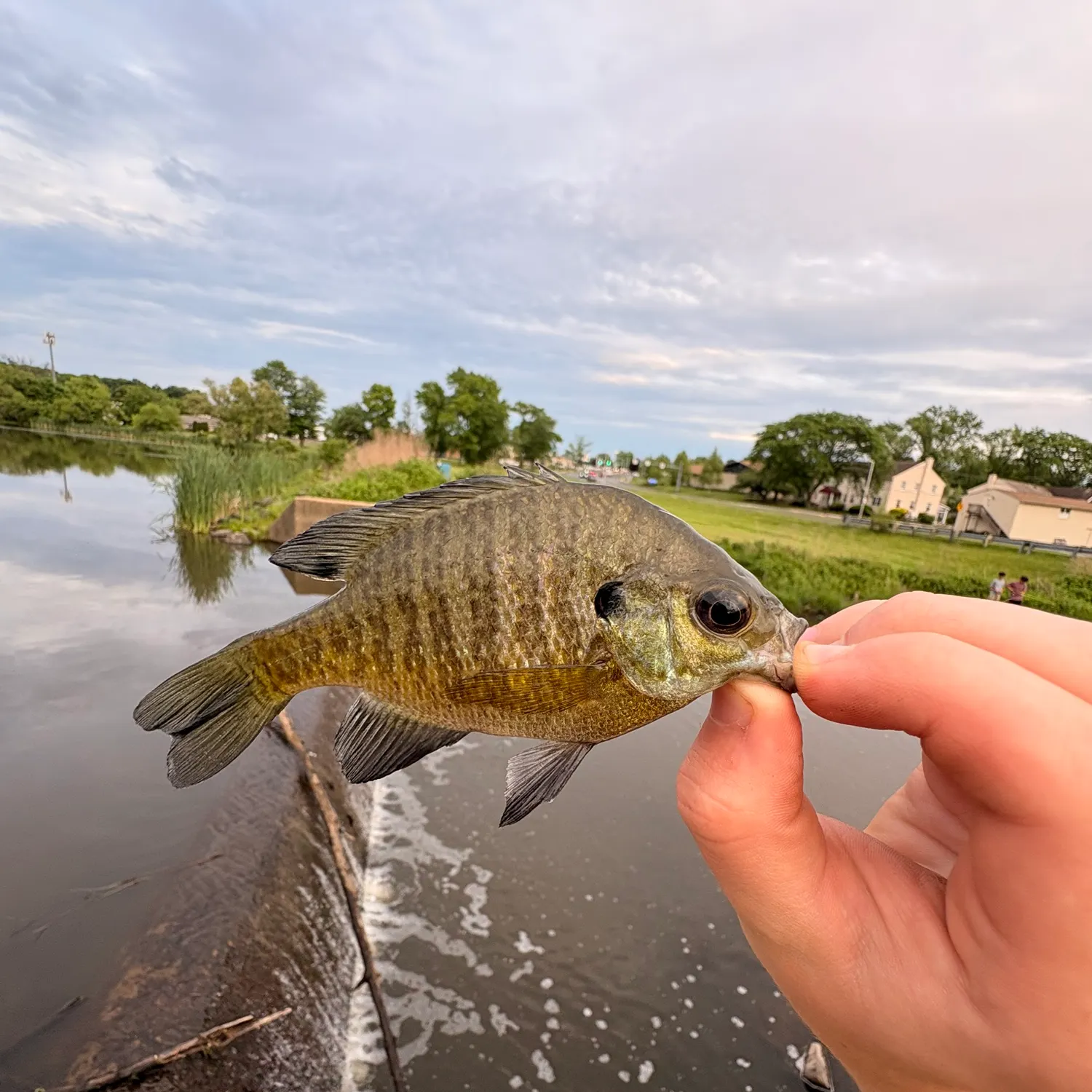 catch