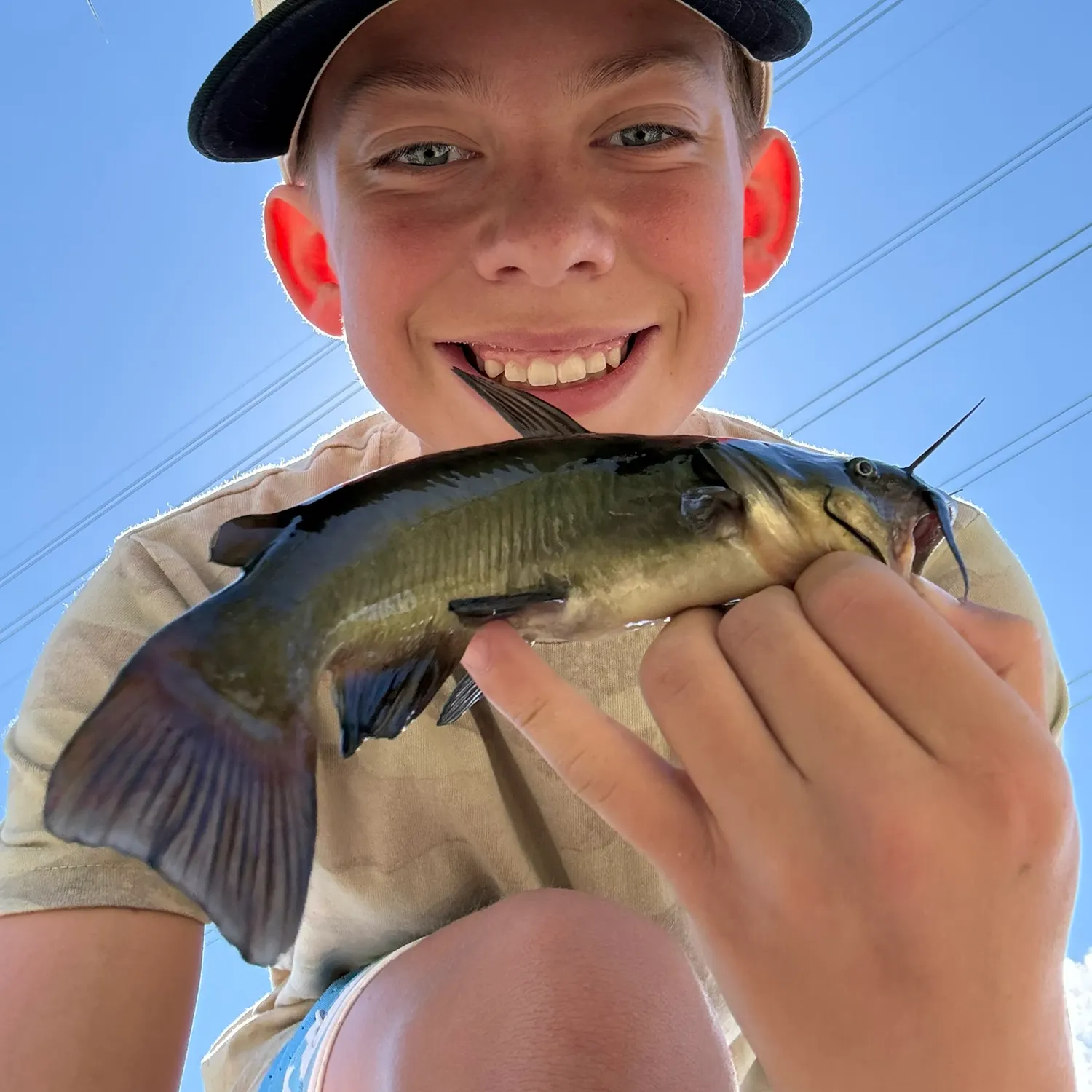 Black bullhead caught on Fishbrain
