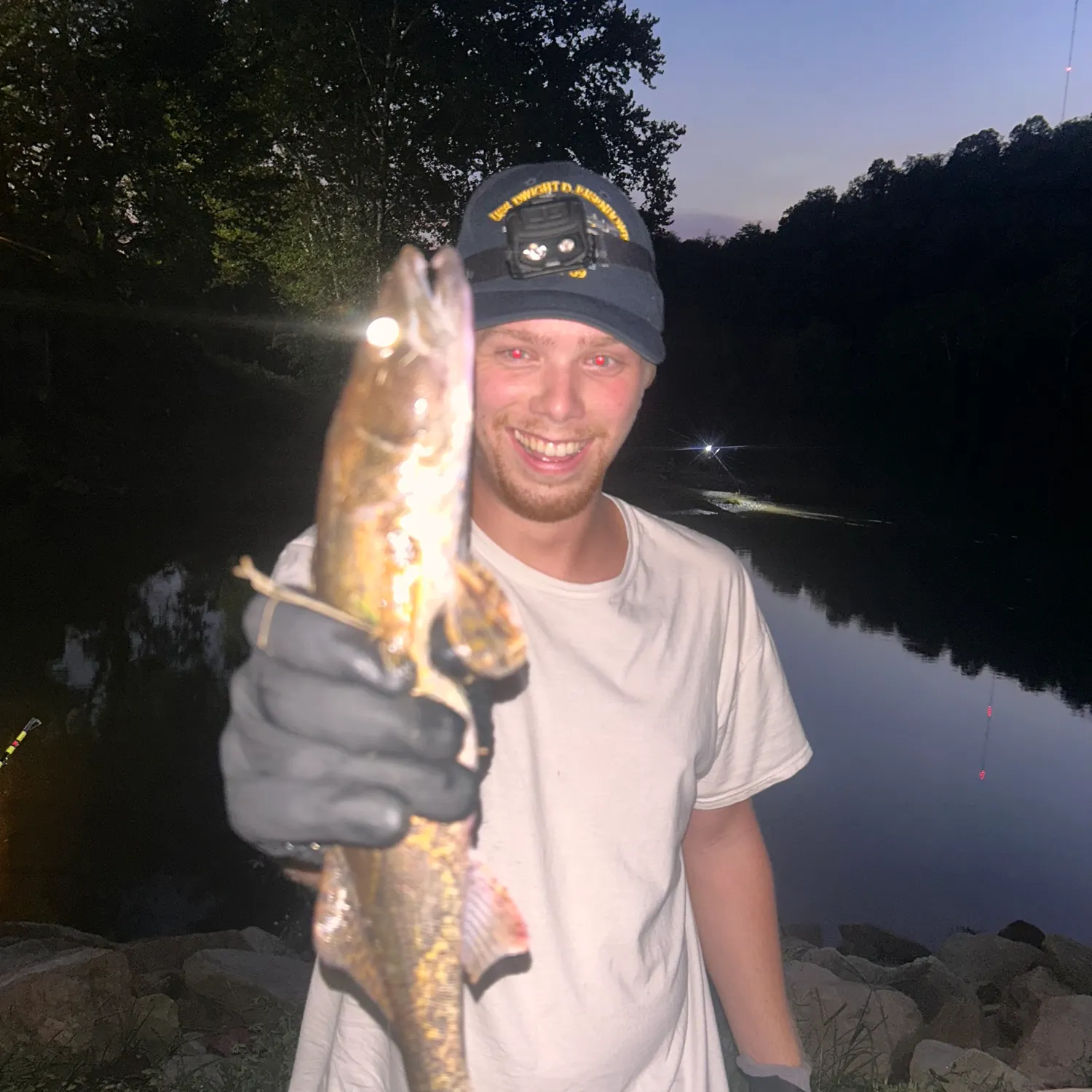 Saugeye caught on Fishbrain