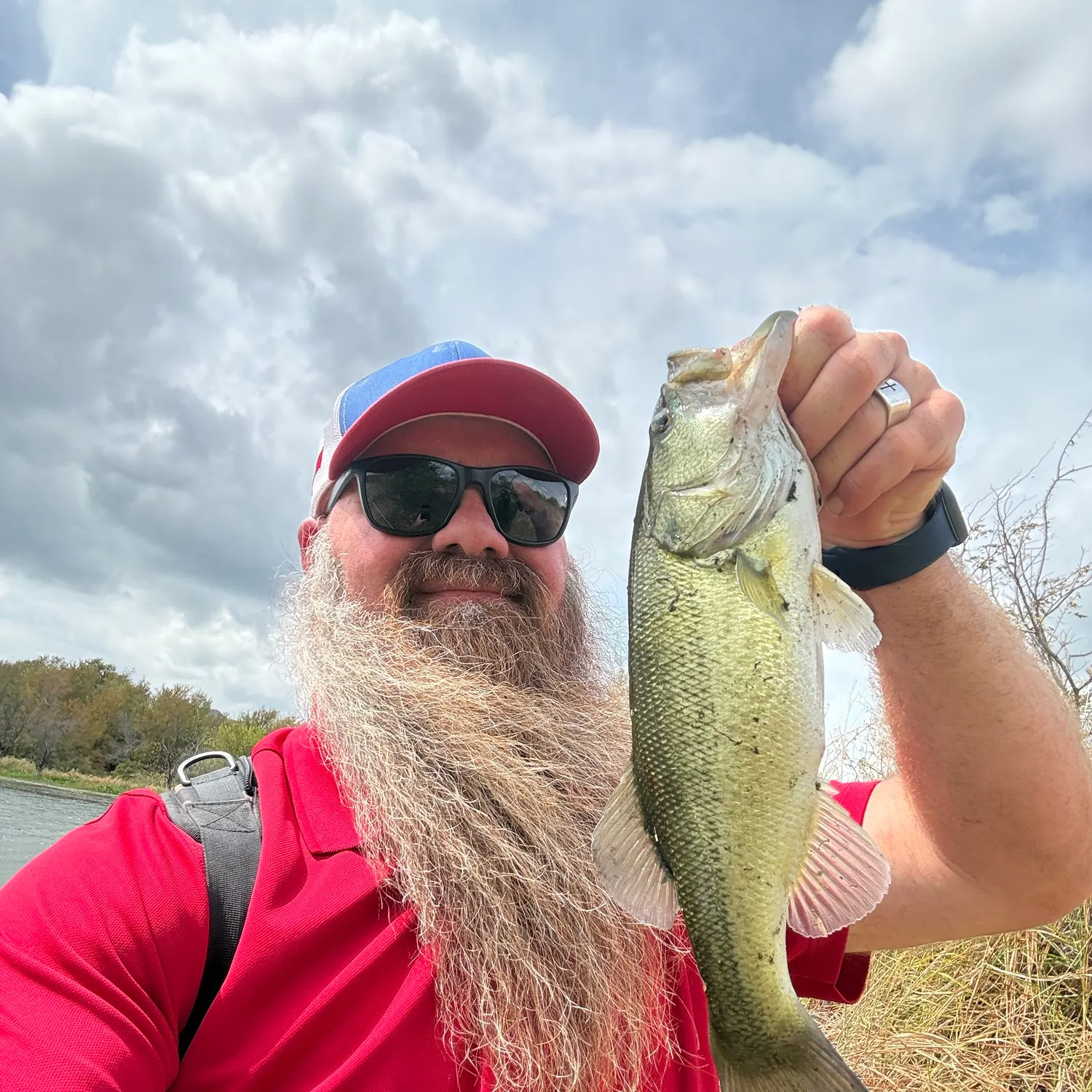 Largemouth bass caught on Fishbrain