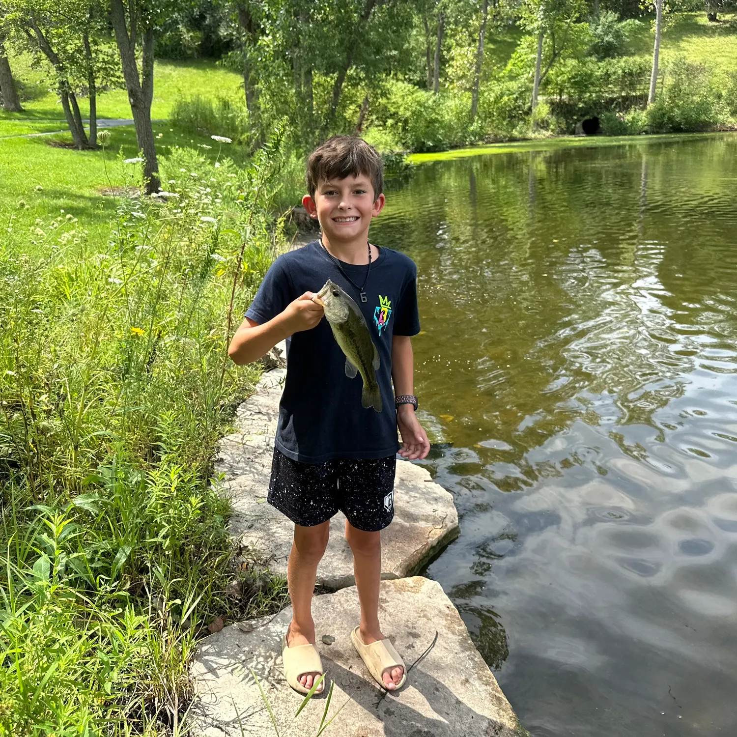 Largemouth bass caught on Fishbrain