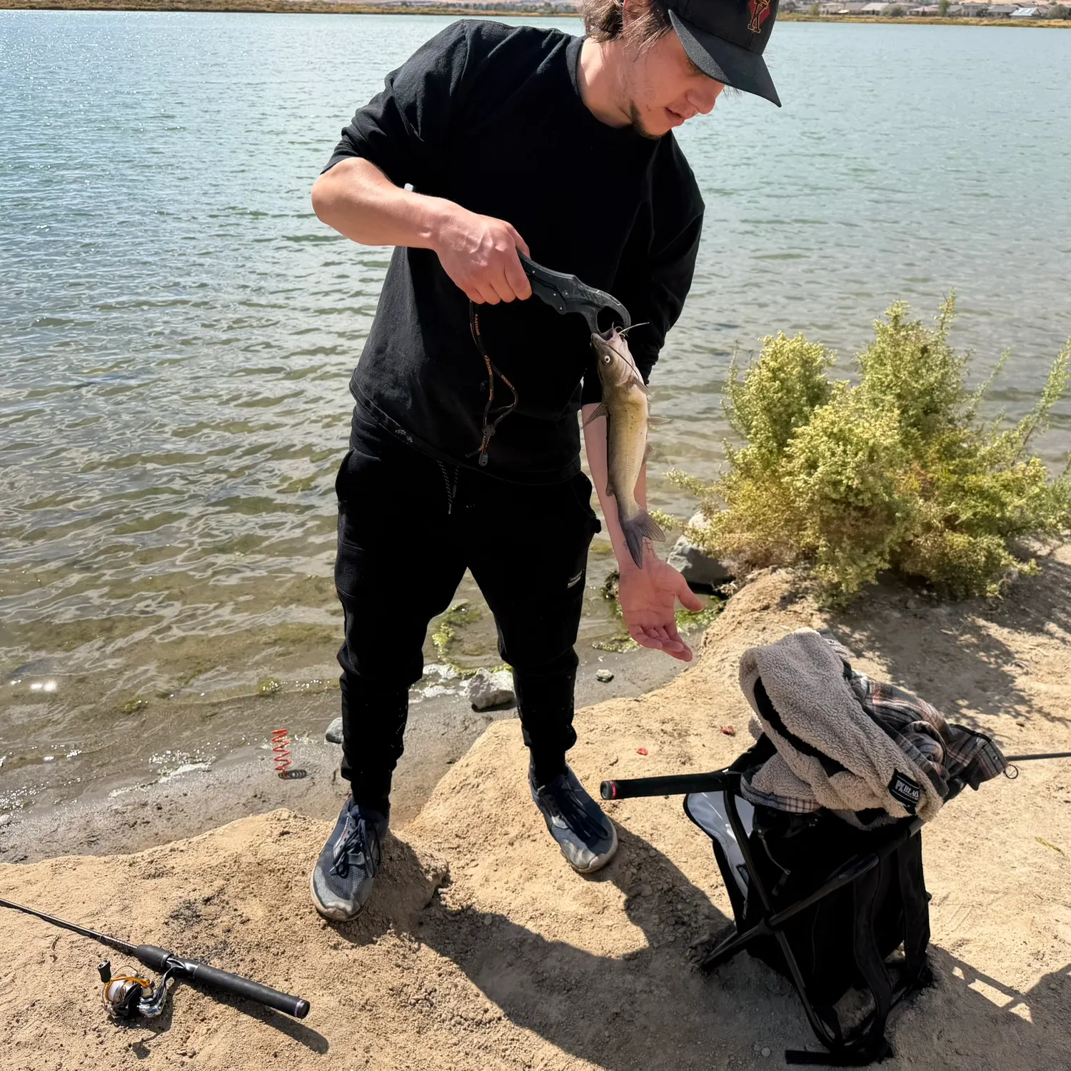 Channel catfish caught on Fishbrain