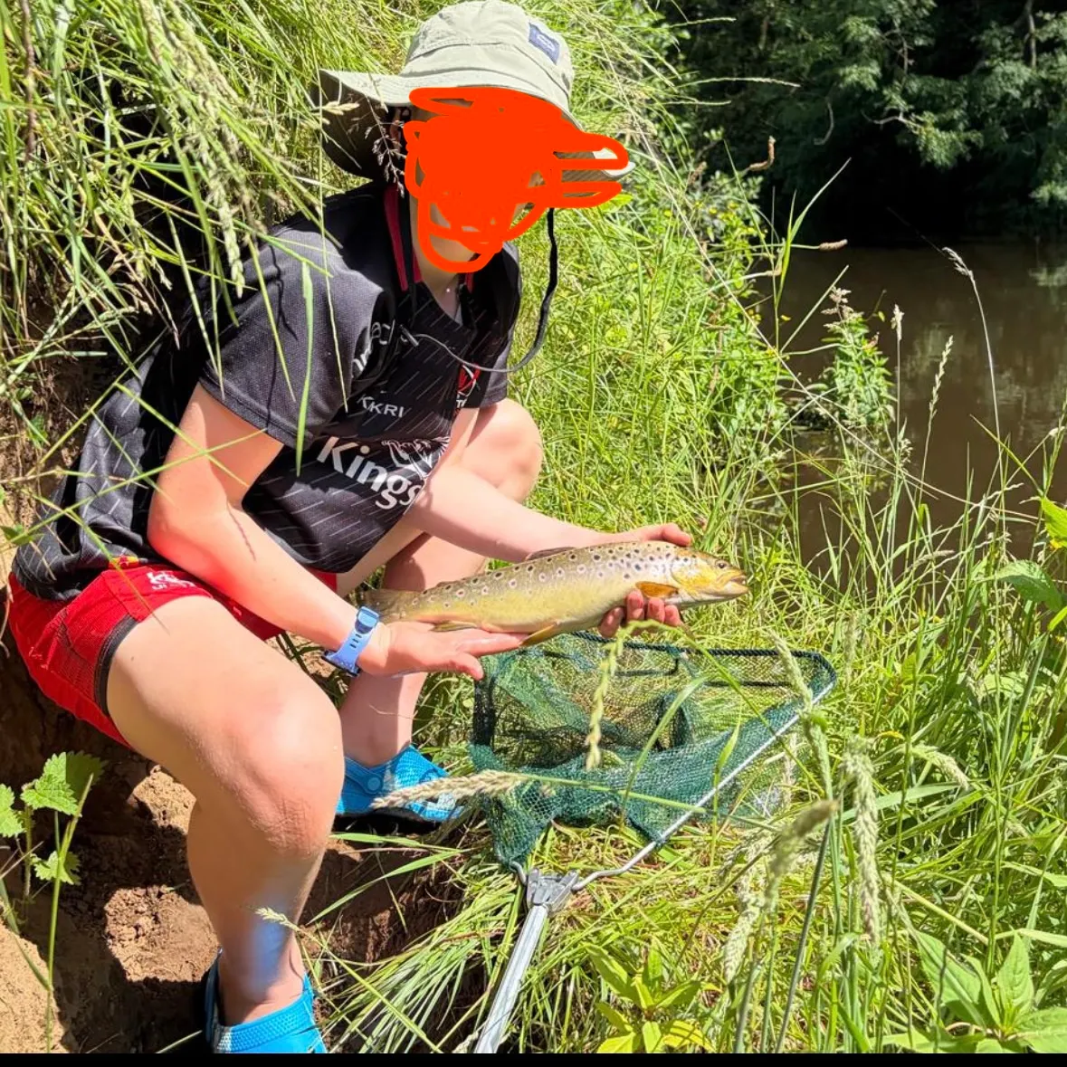 Brown trout caught on Fishbrain
