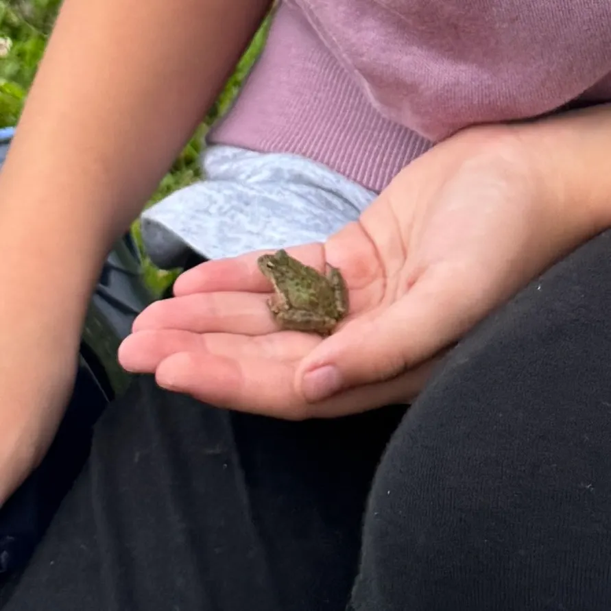 The most recent Crawfish frog catches on Fishbrain