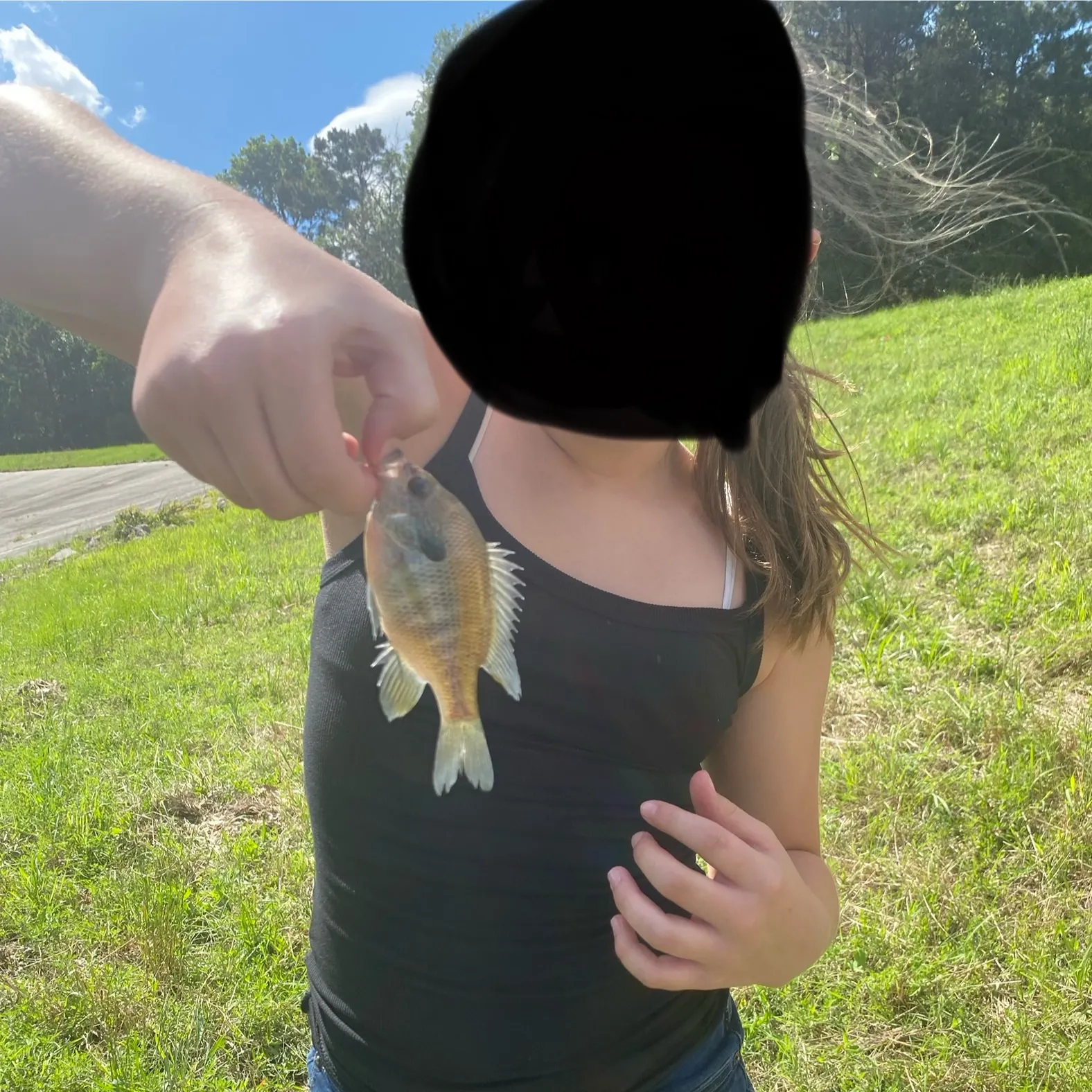 most liked catch image