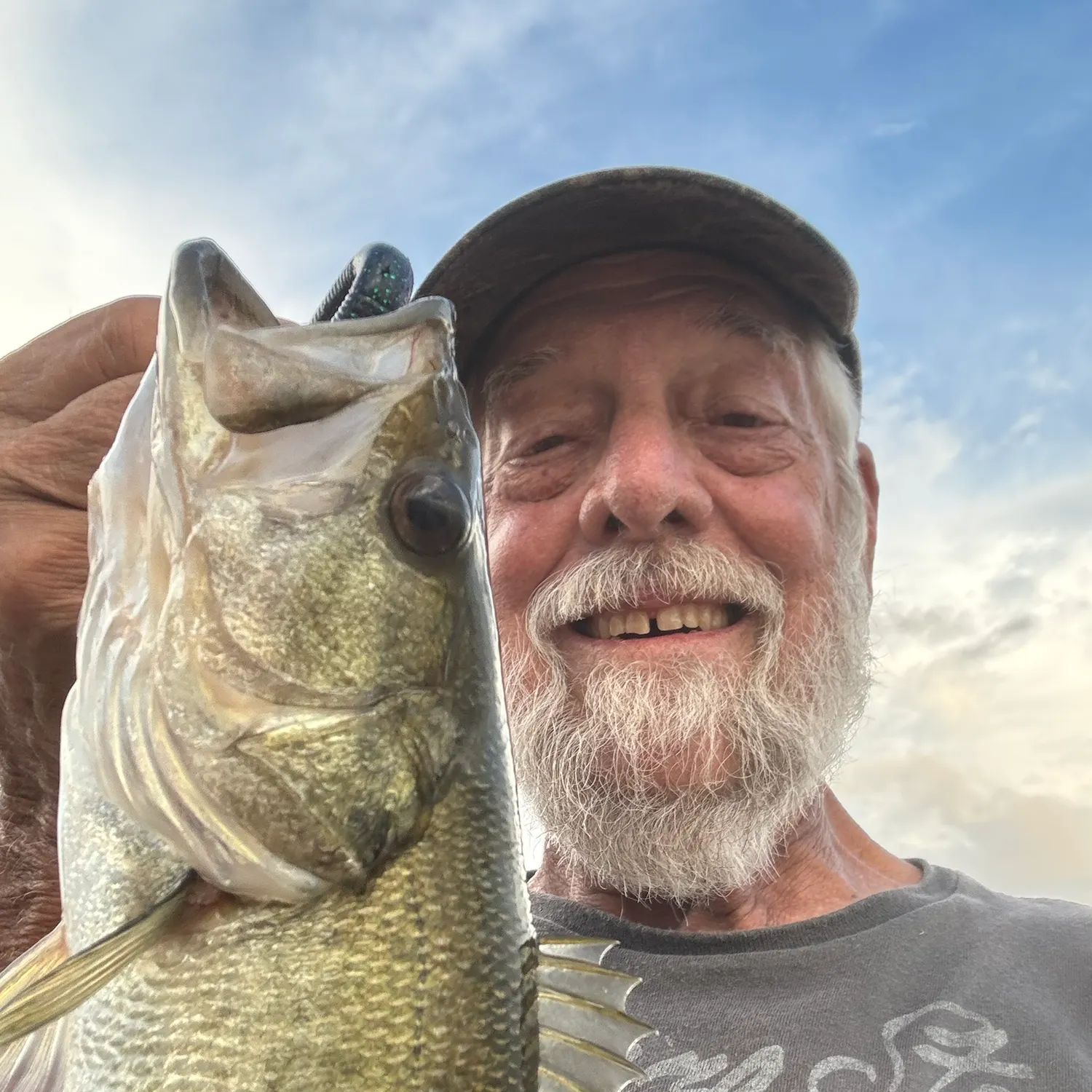 Largemouth bass caught on Fishbrain