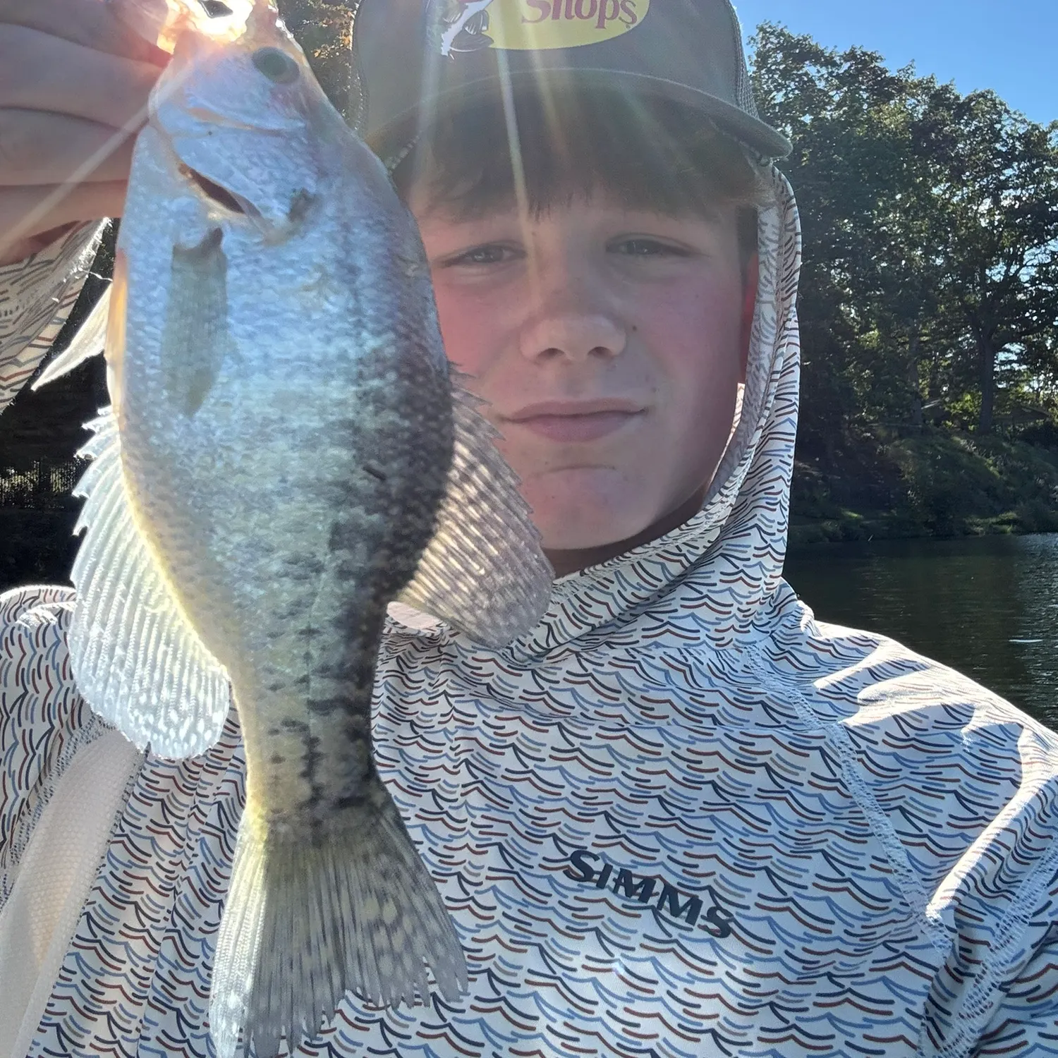 White crappie caught on Fishbrain