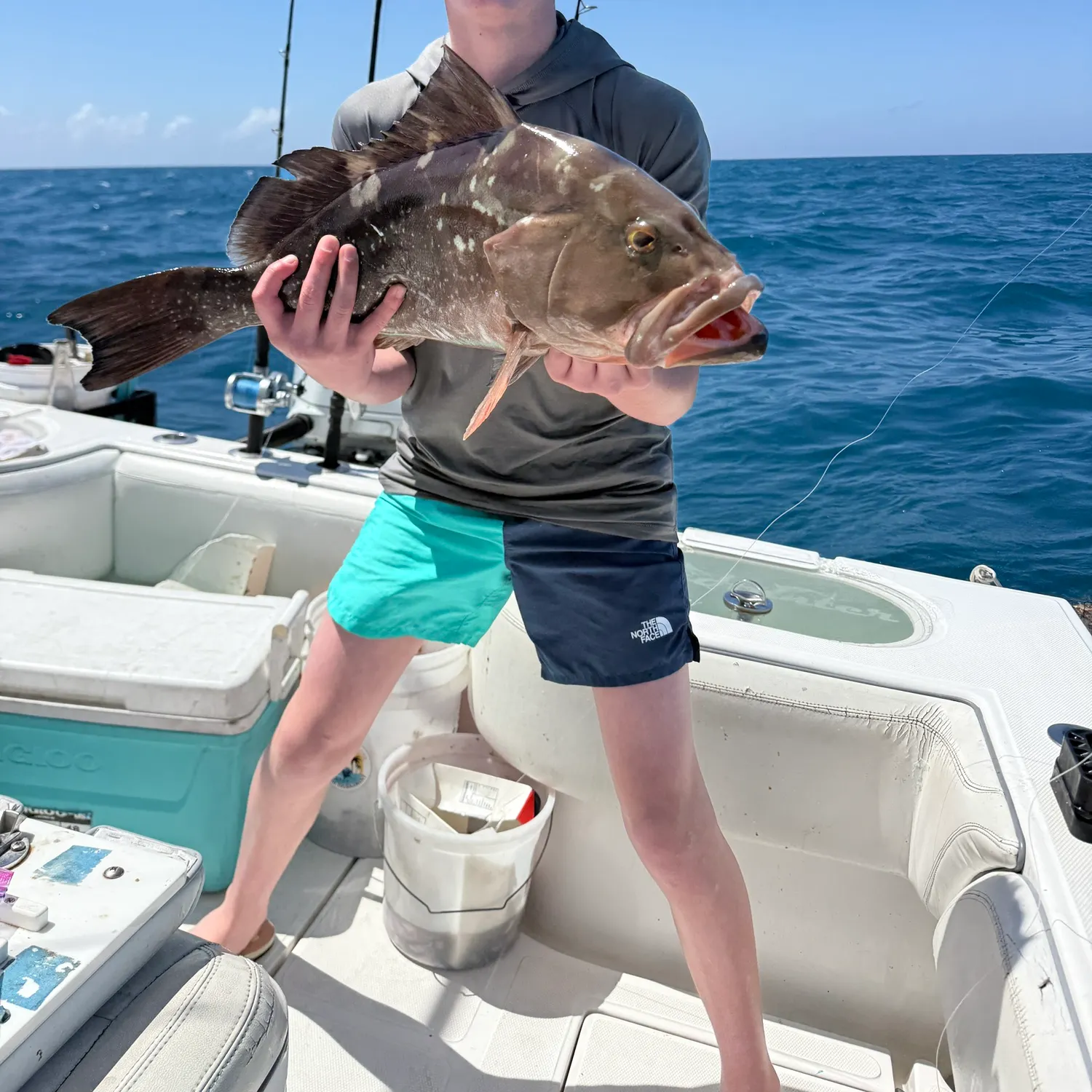 The most recent Red grouper catches on Fishbrain