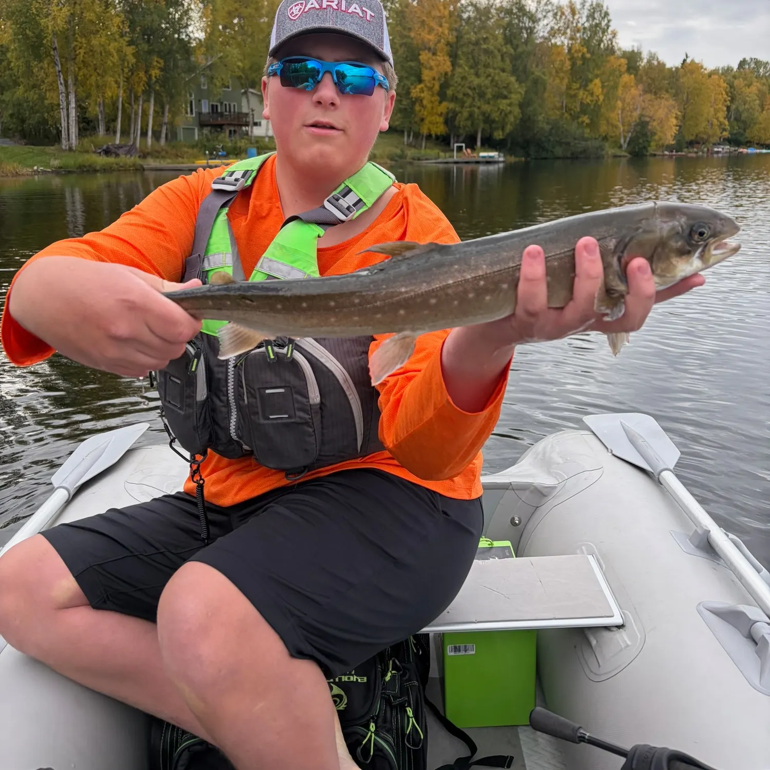Arctic char caught on Fishbrain