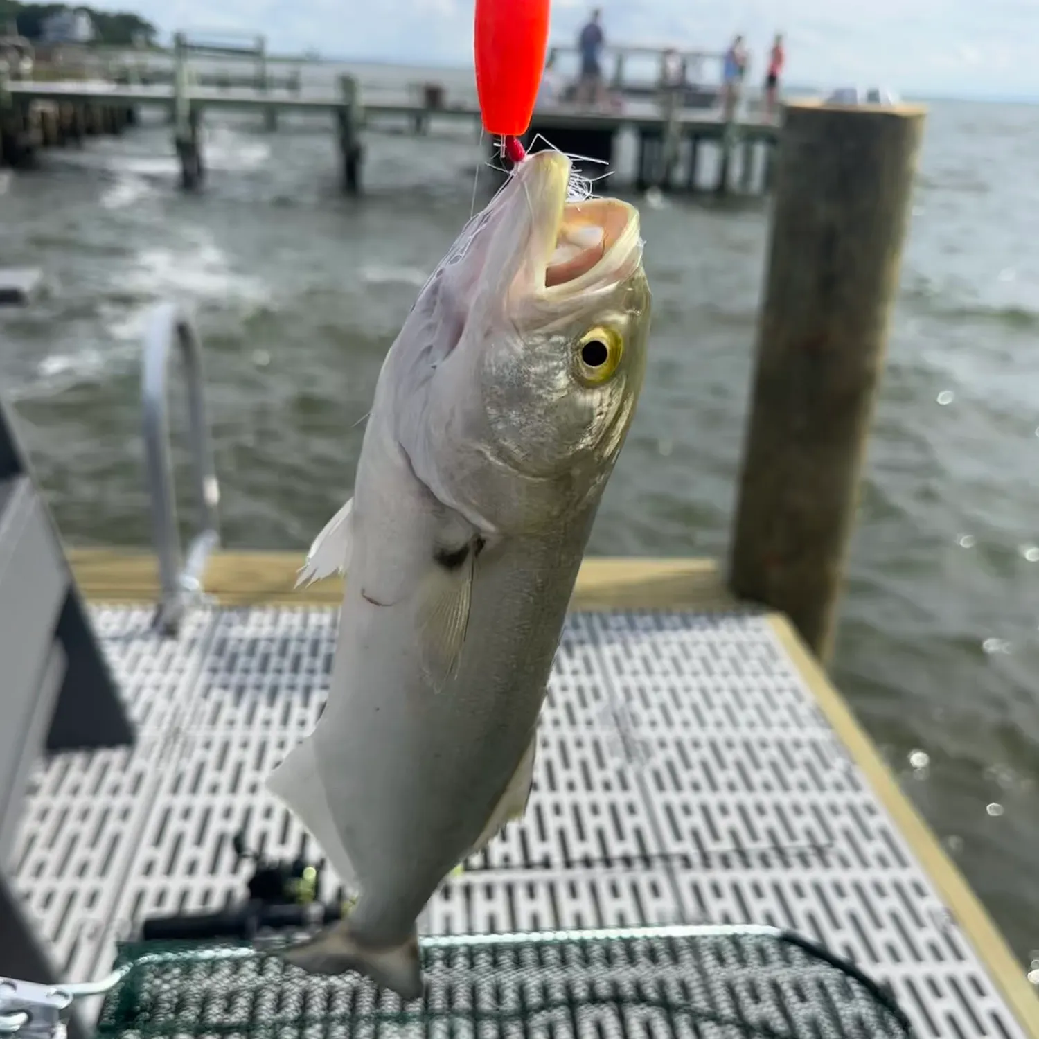 catch
