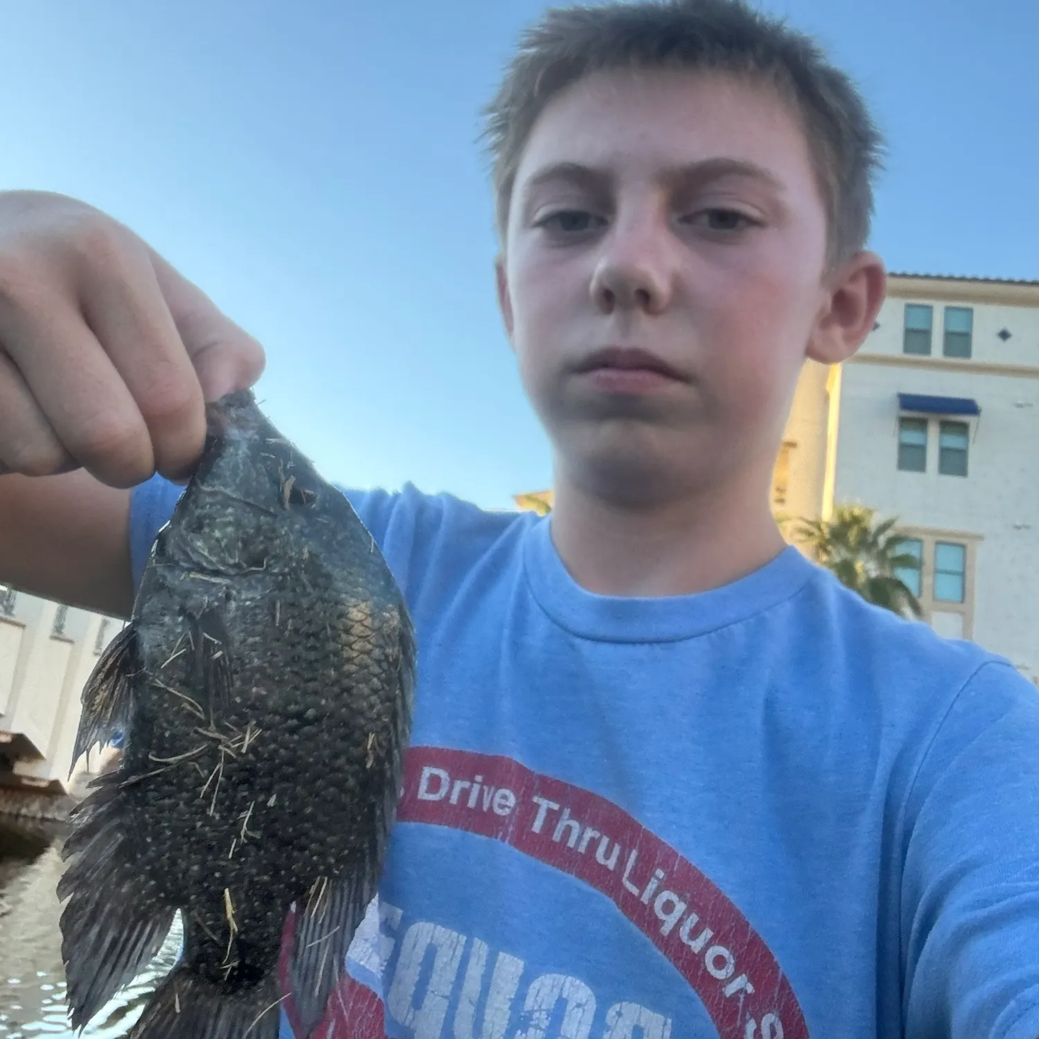 Rio Grande cichlid caught on Fishbrain