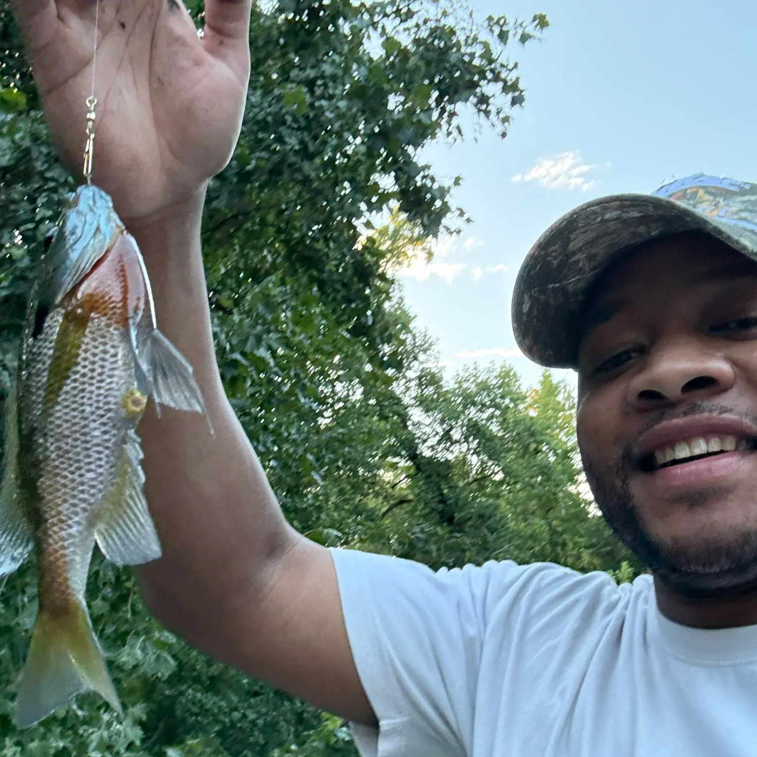 The most recent Spotted sunfish catches on Fishbrain
