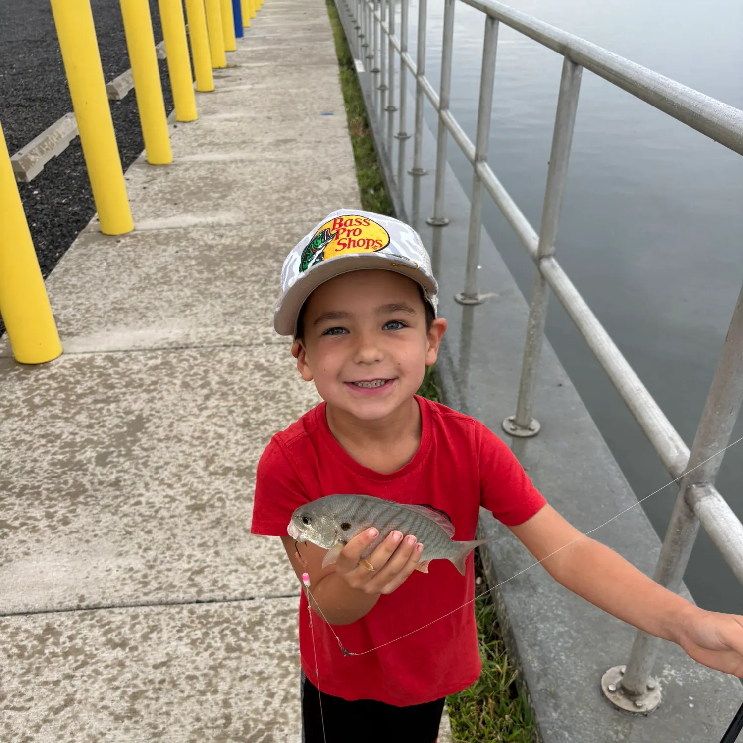 Spot croaker caught on Fishbrain
