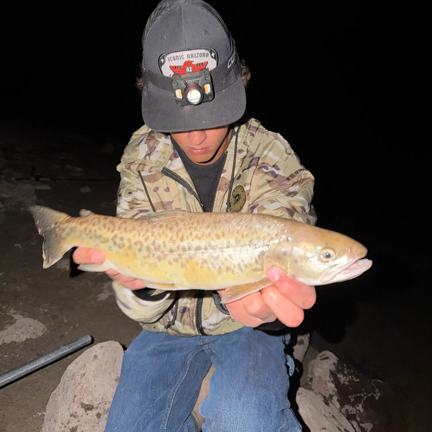 Tiger trout caught on Fishbrain