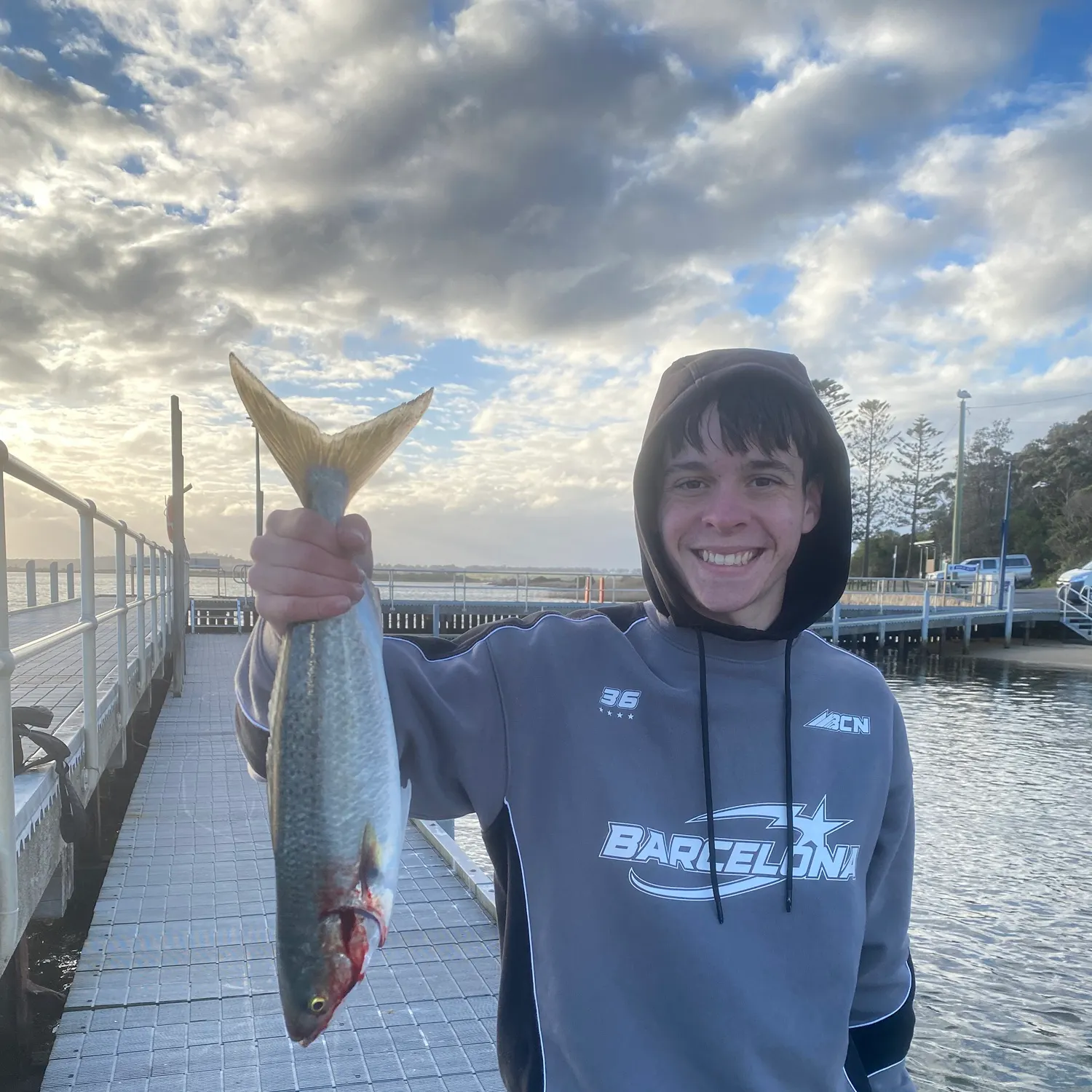 Eastern Australian salmon caught on Fishbrain