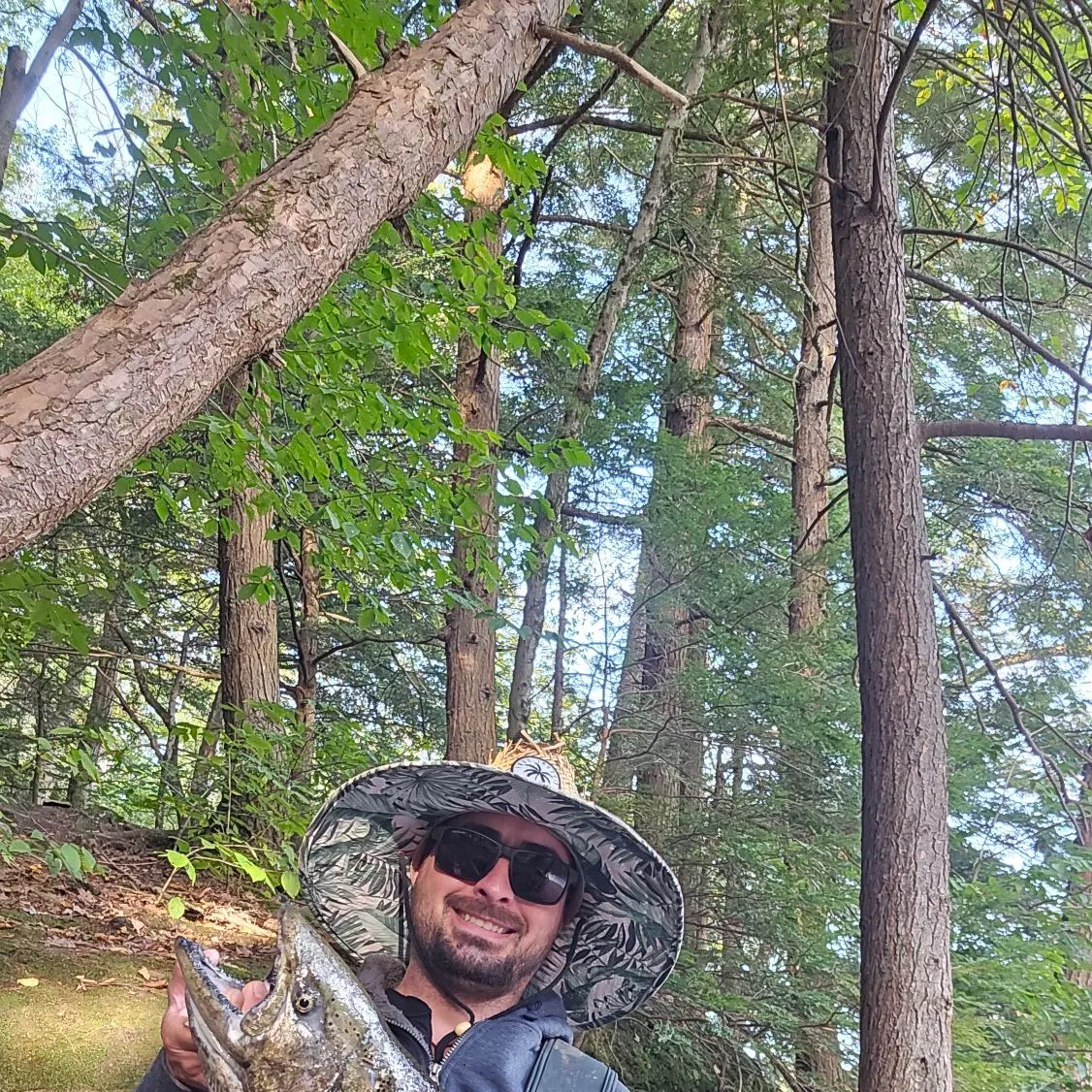 The most recent Chum salmon catches on Fishbrain