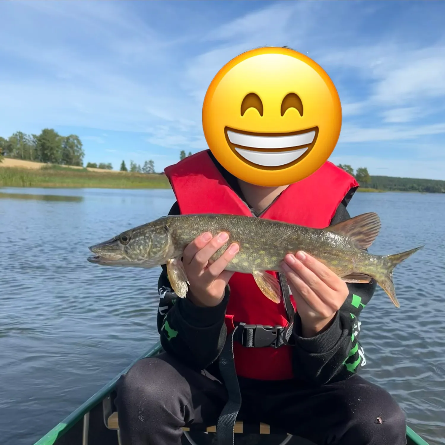 Northern pike caught on Fishbrain