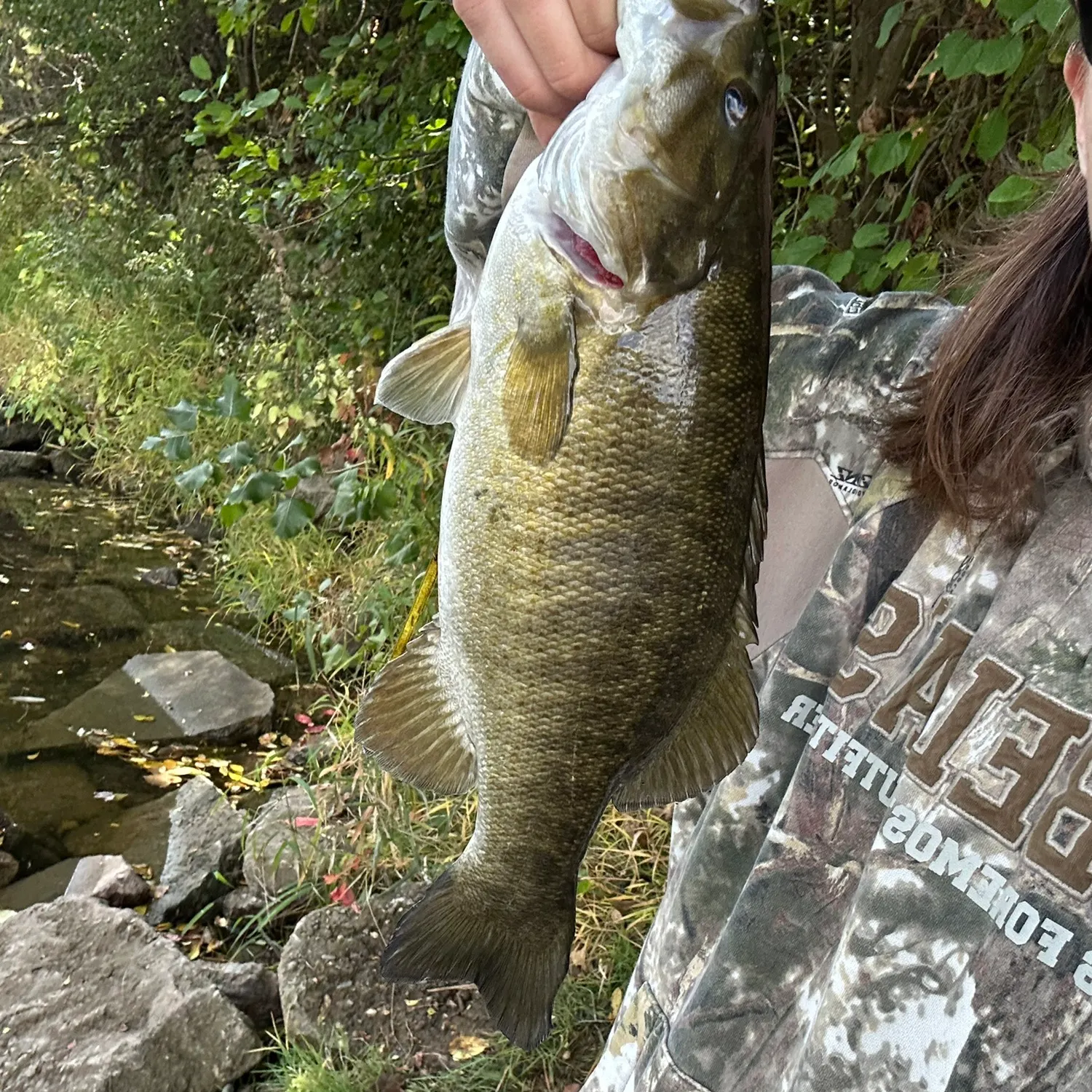 The most recent Smallmouth bass catches on Fishbrain