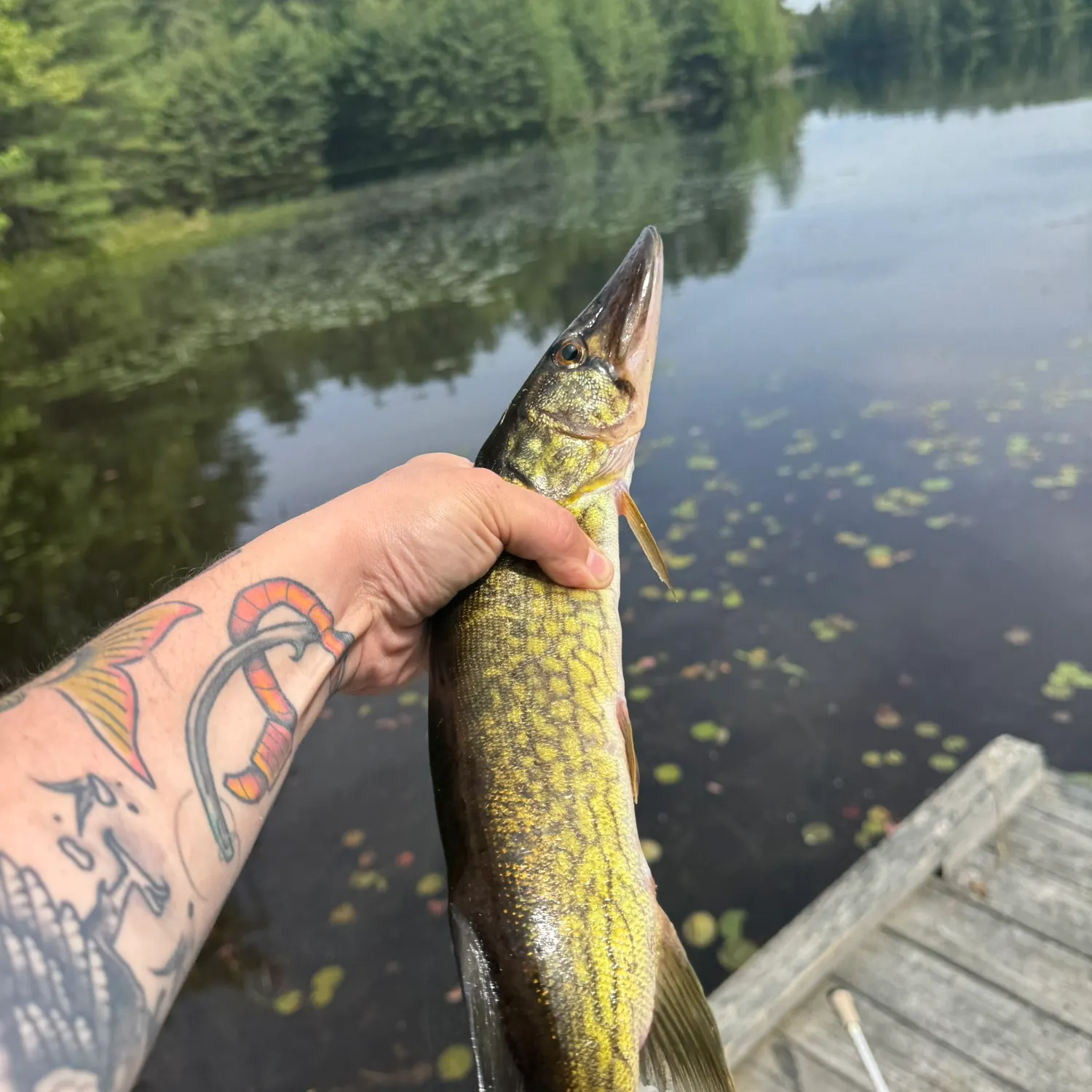 catch