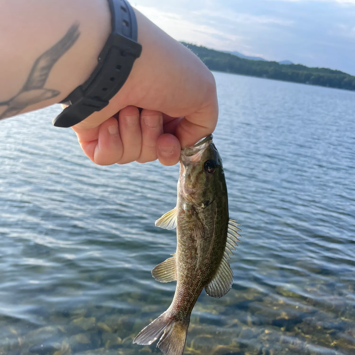 catch